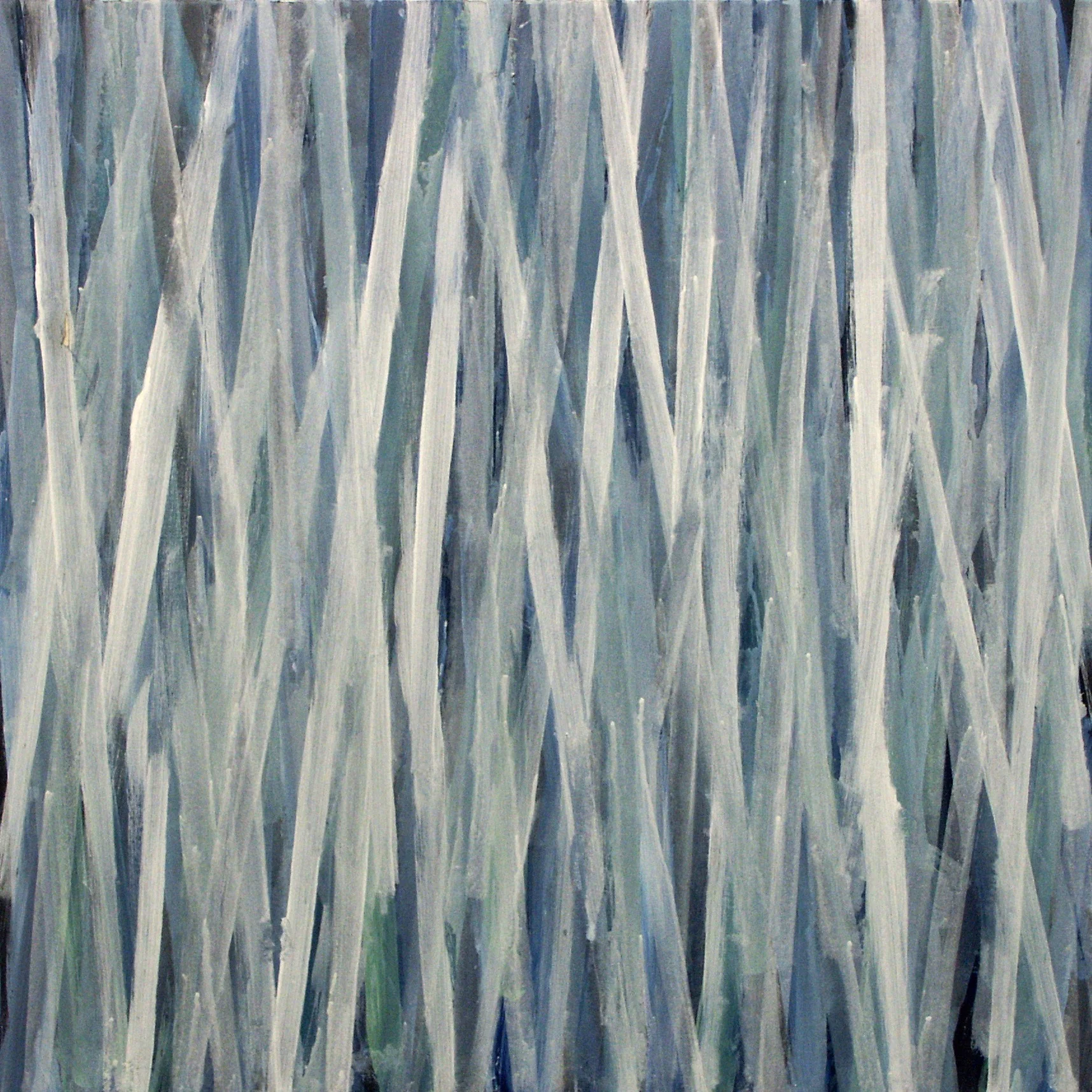 Polar space 2005