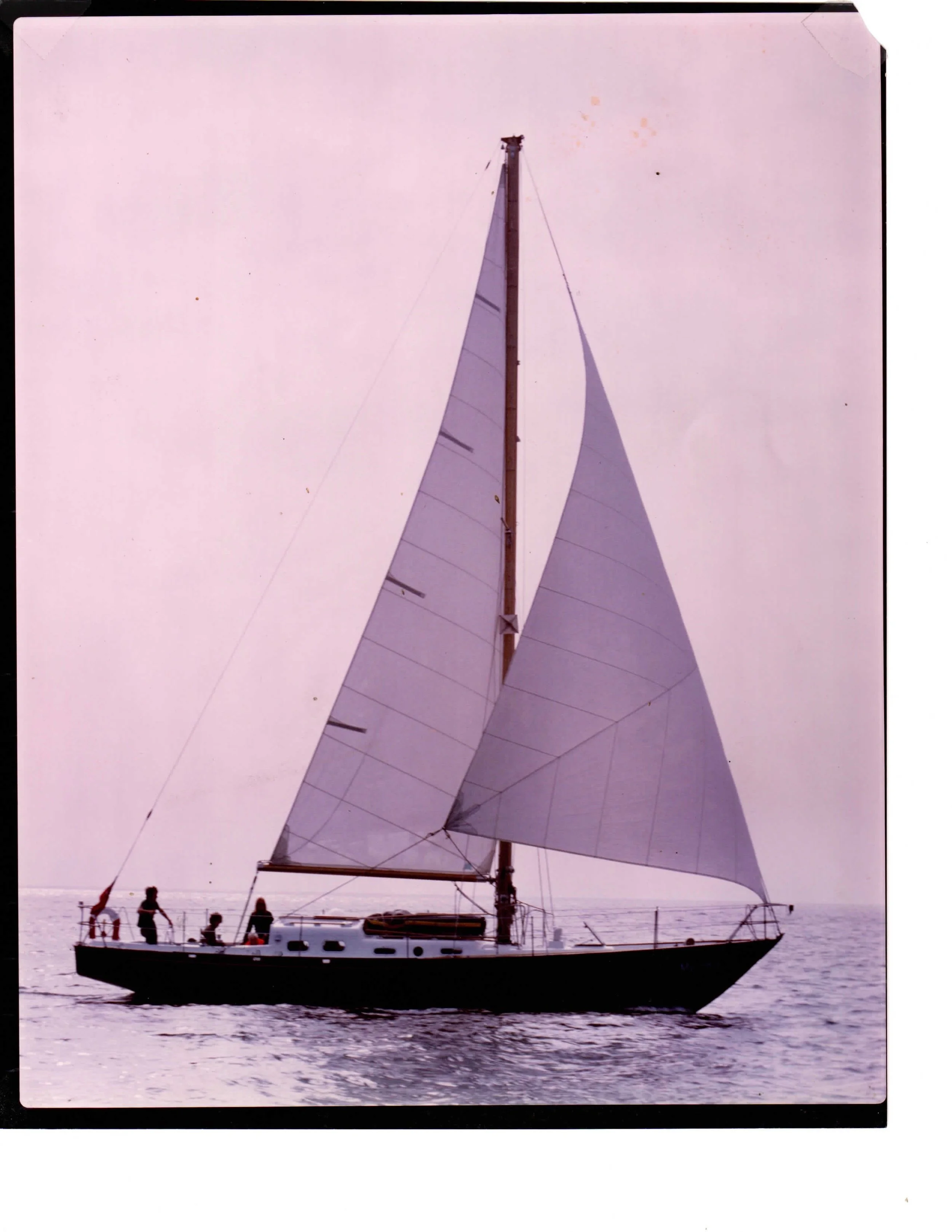 myrdhin sailing.jpeg