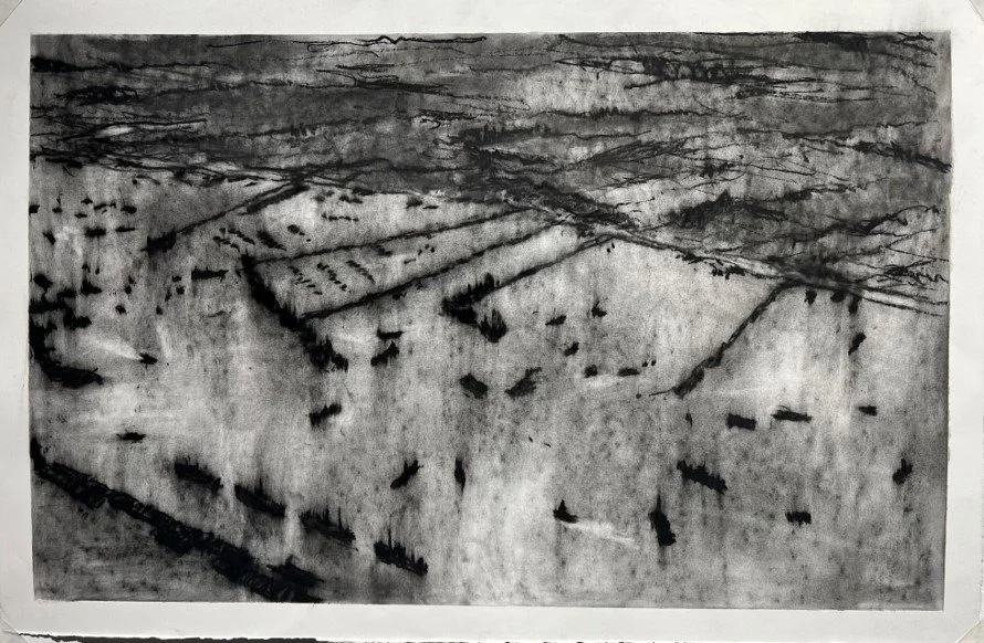 Mulberry B From the air, March 2017.jpg