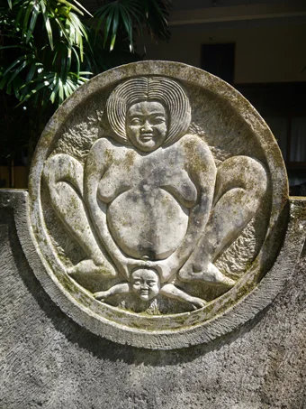 Bumi-Sehat-logo.jpg