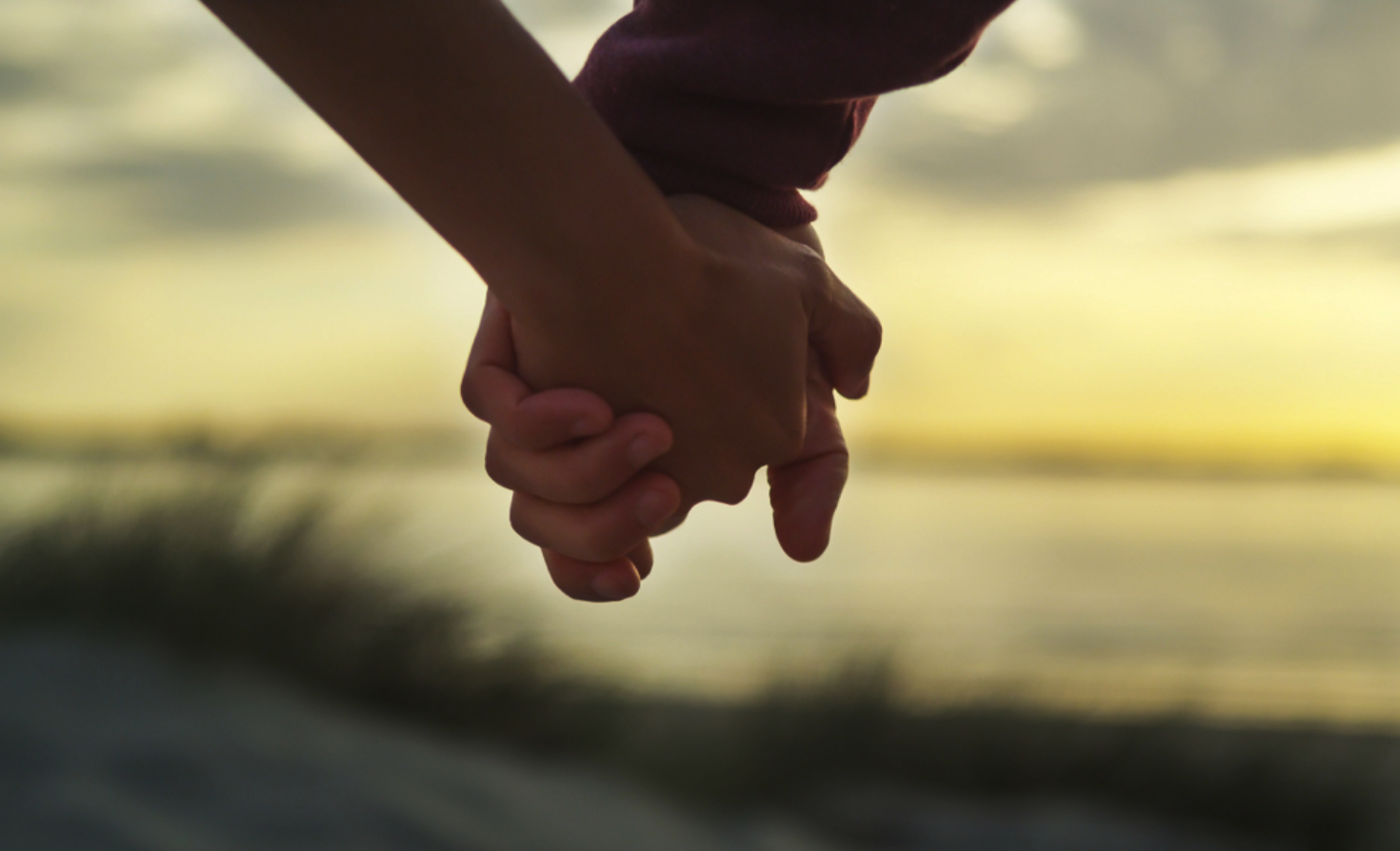 hands.png