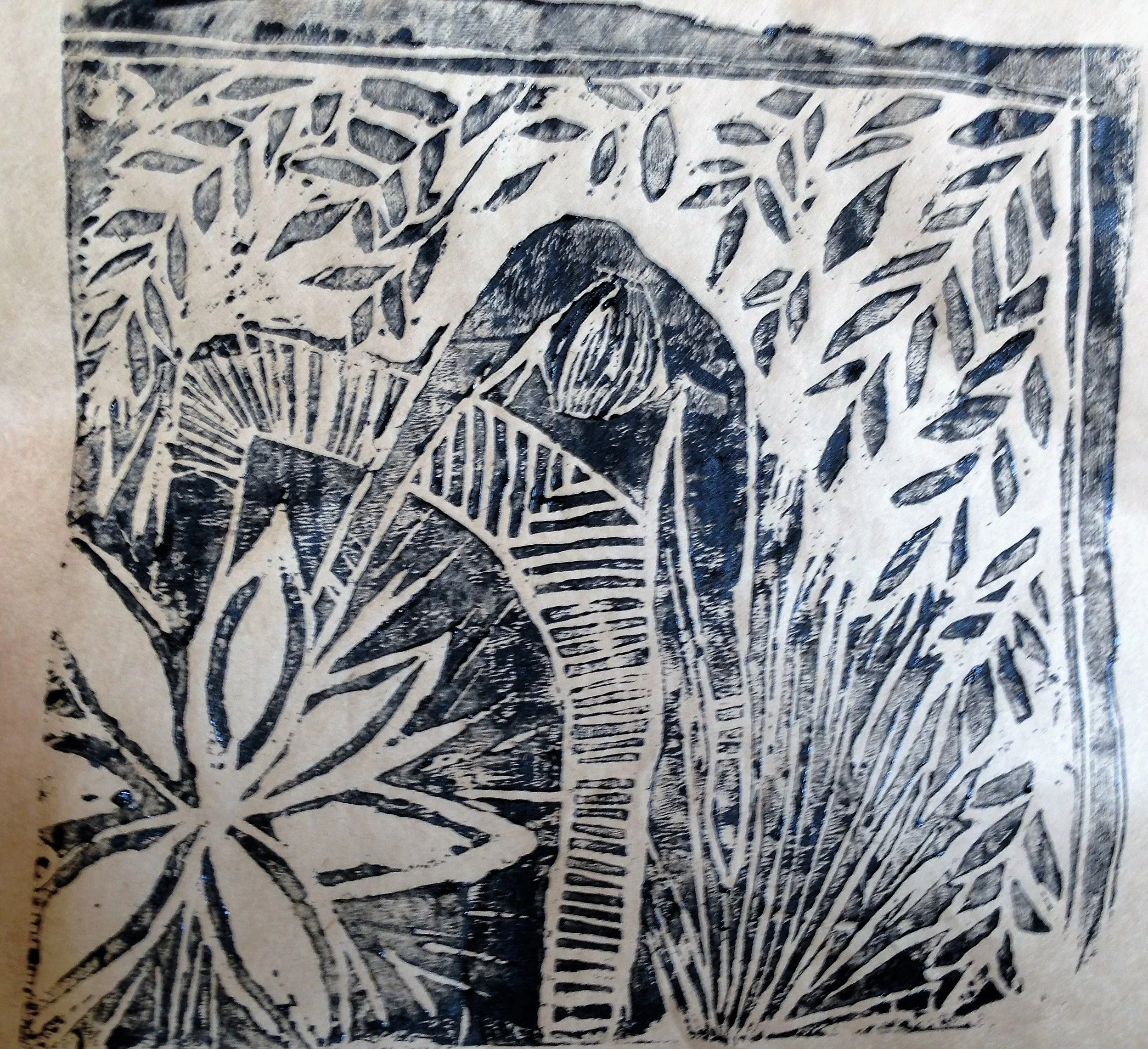 IMG_7156 (21).JPG