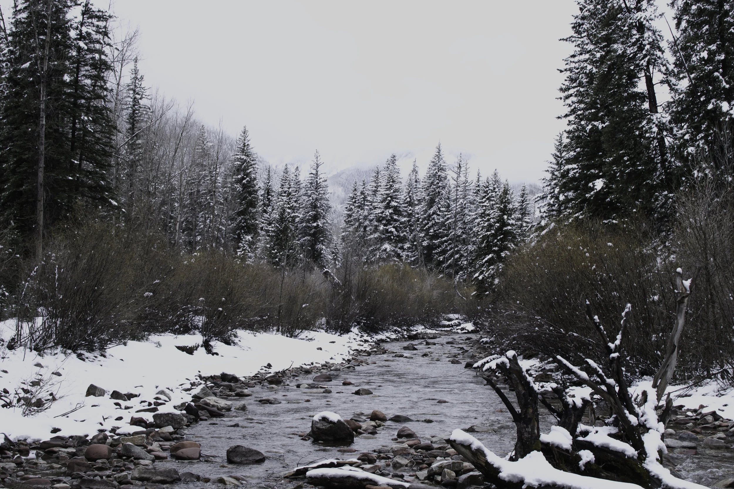 Snowmass Creek.jpg