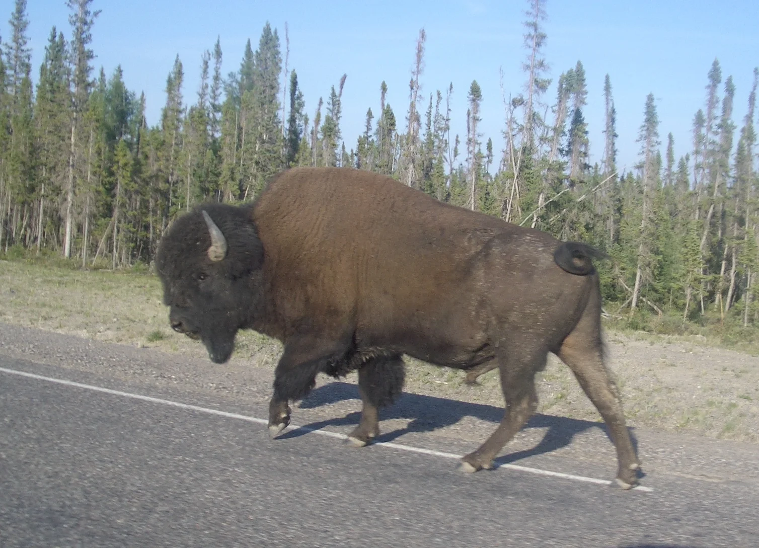 Erasmus Reunion July 2004 020.JPG