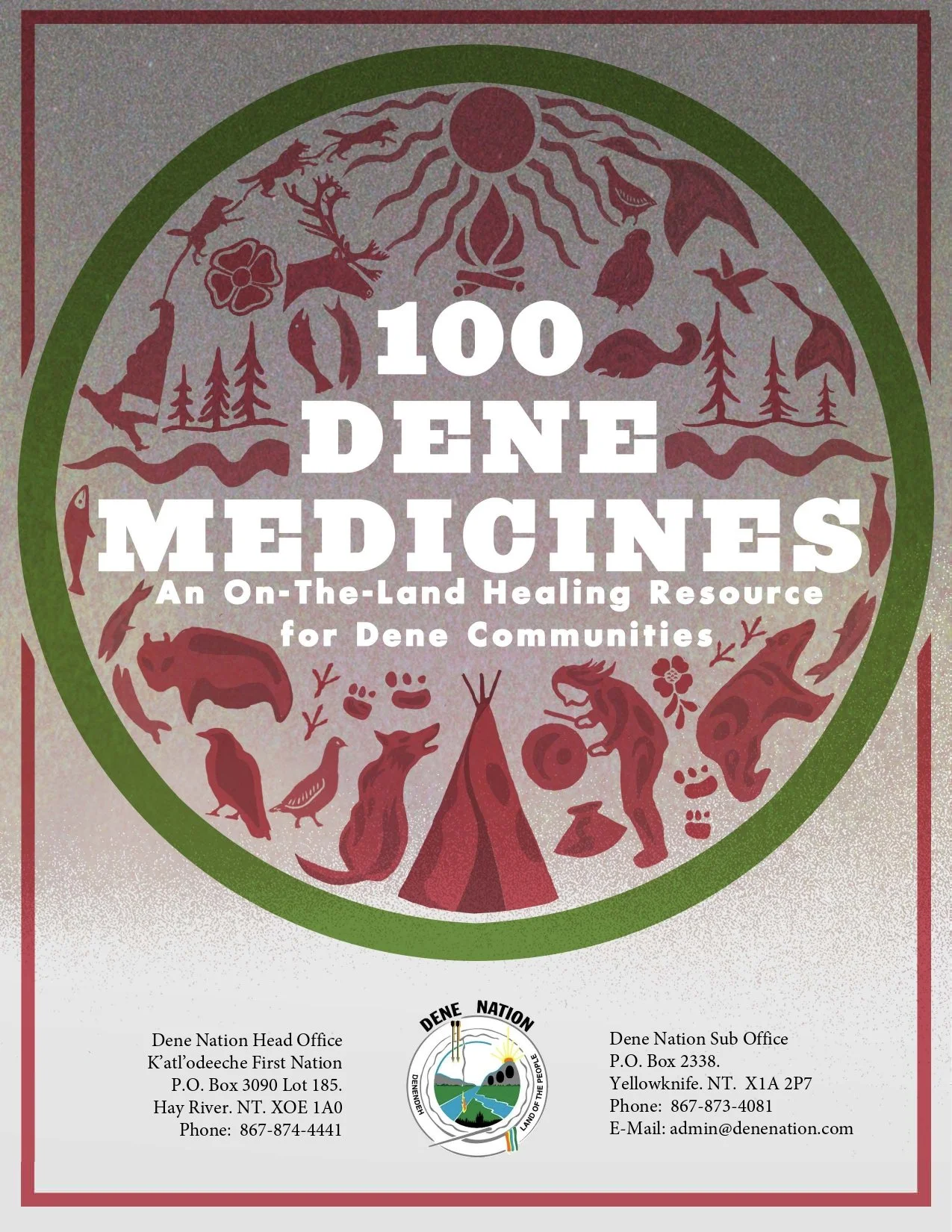 100 Dene medicines book pdf