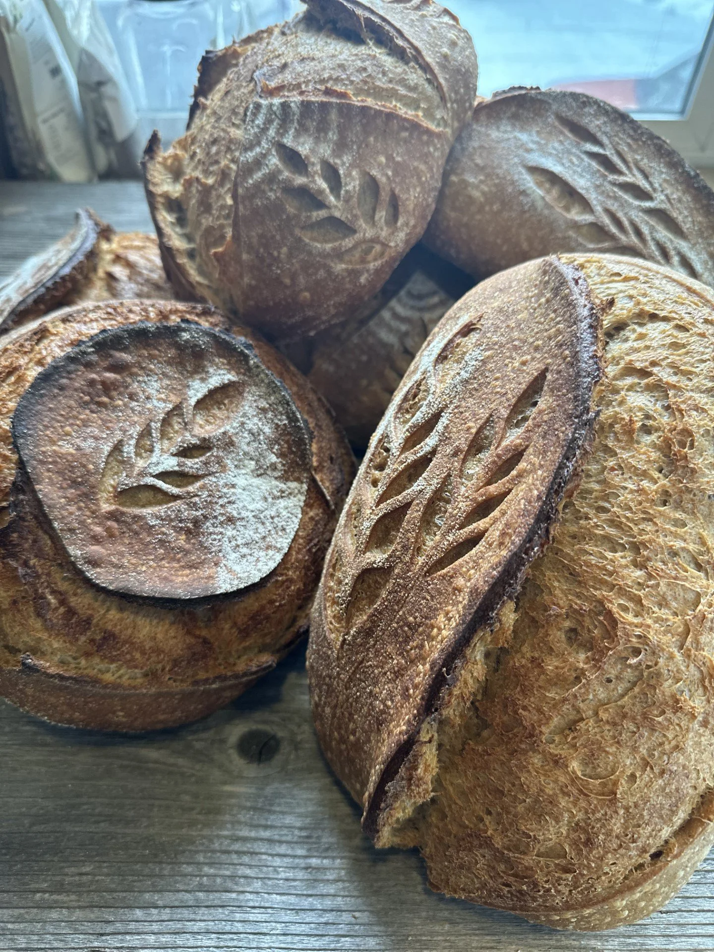 tender earth 12.jpeg