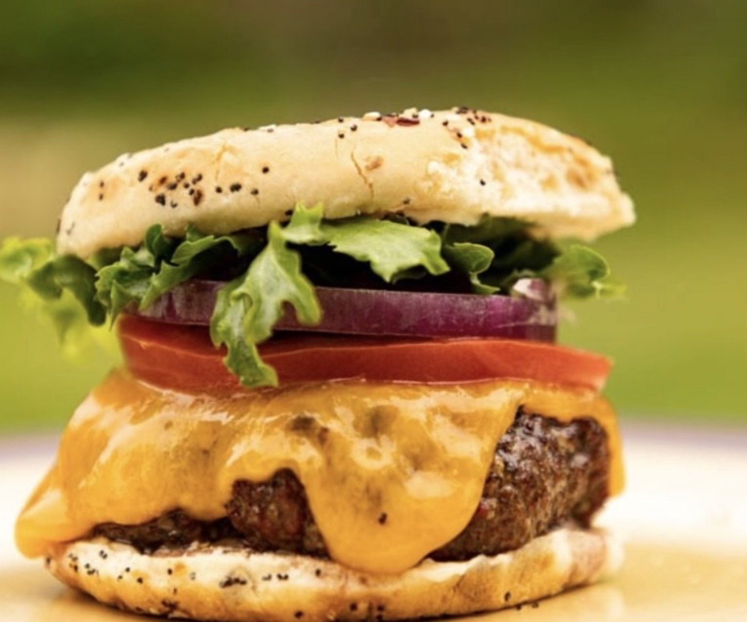 Best Ever Cheese Burgers