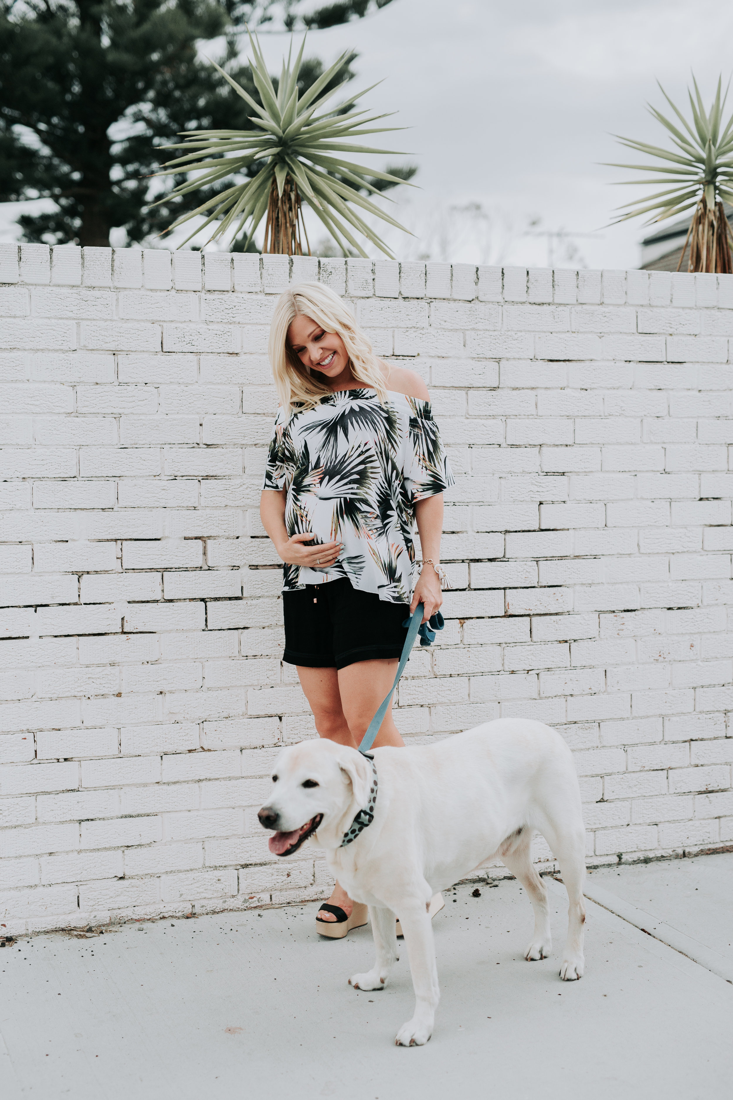 Anna Kooiman Active - App Fitness and Activewear for Moms - Baby - How to  Prep Your Pup for Baby's Arrival