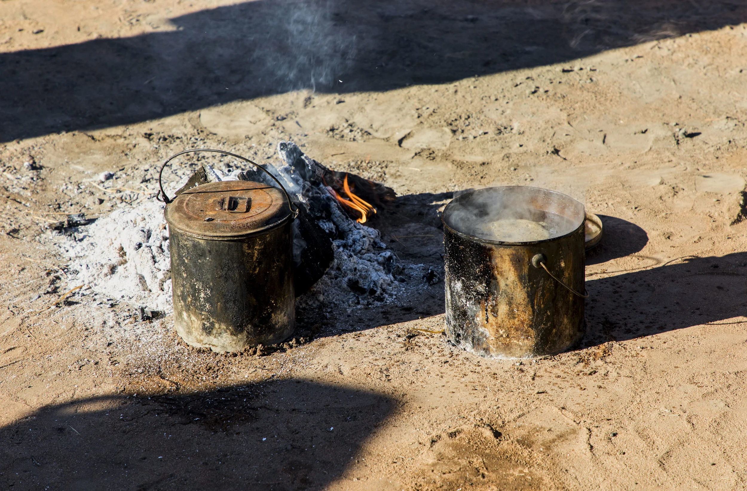 BUSH TEA