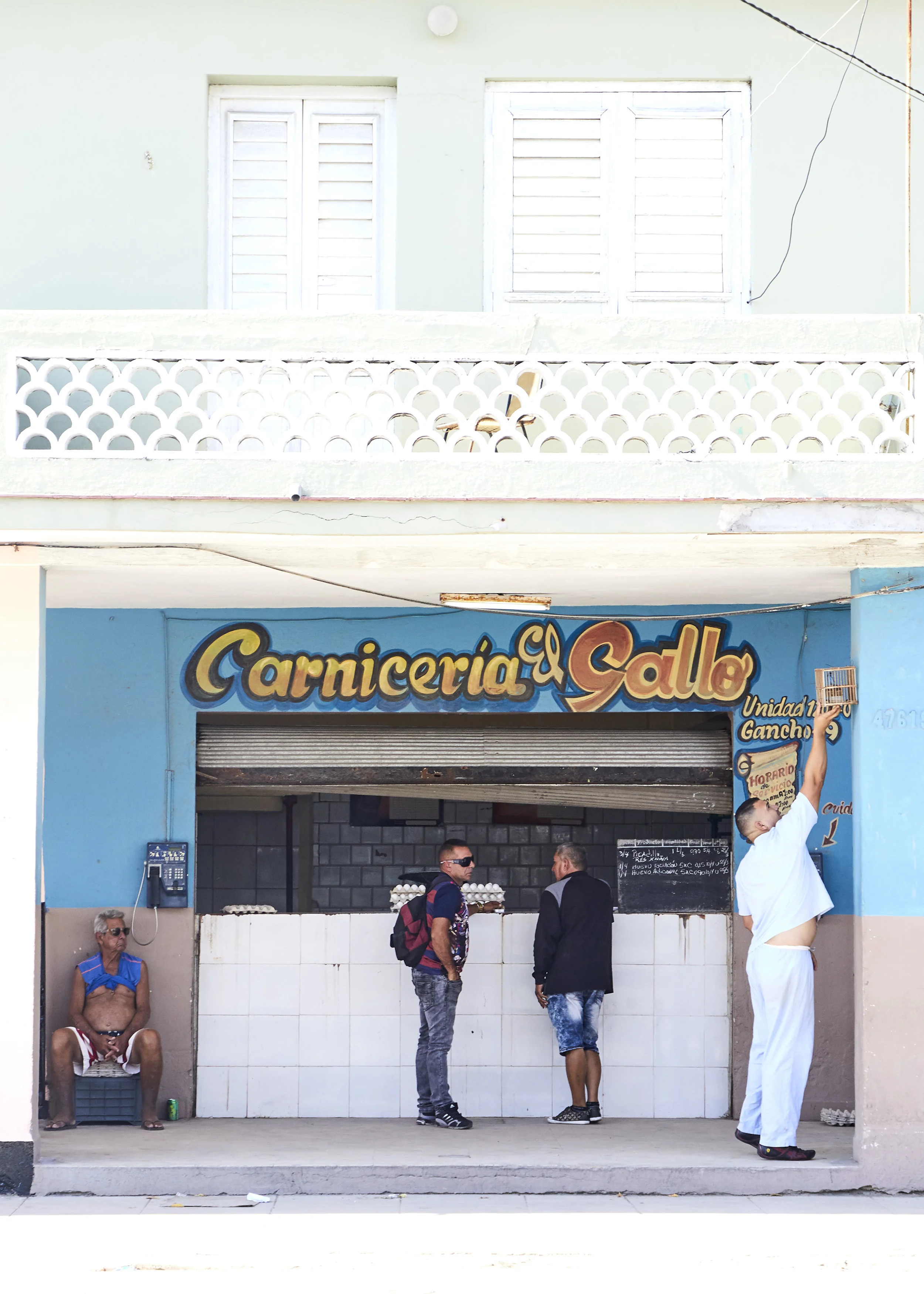 CARNICERIA EL GALLO