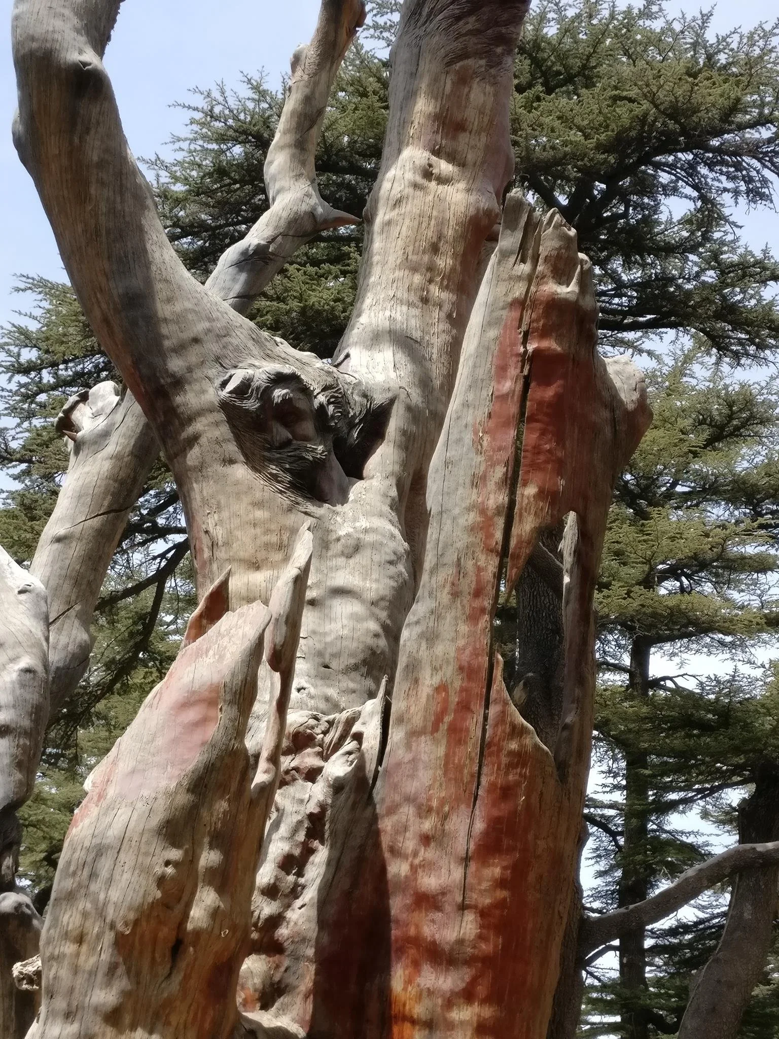 cedars of god.jpg