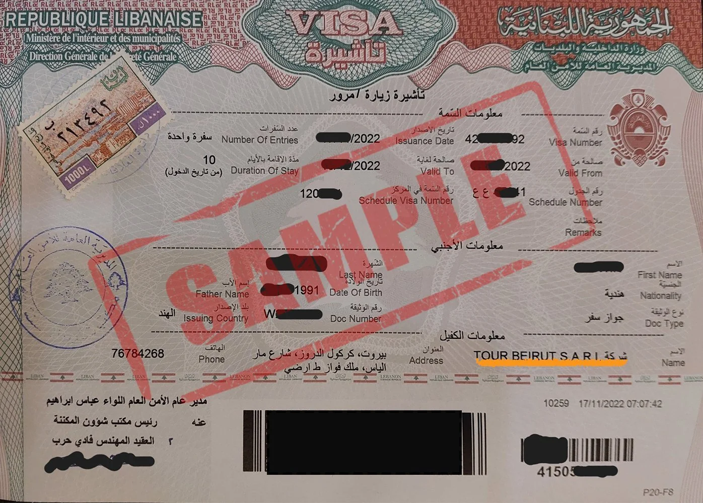 Sample visa.jpg