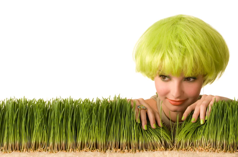 wheat grass final F.jpg