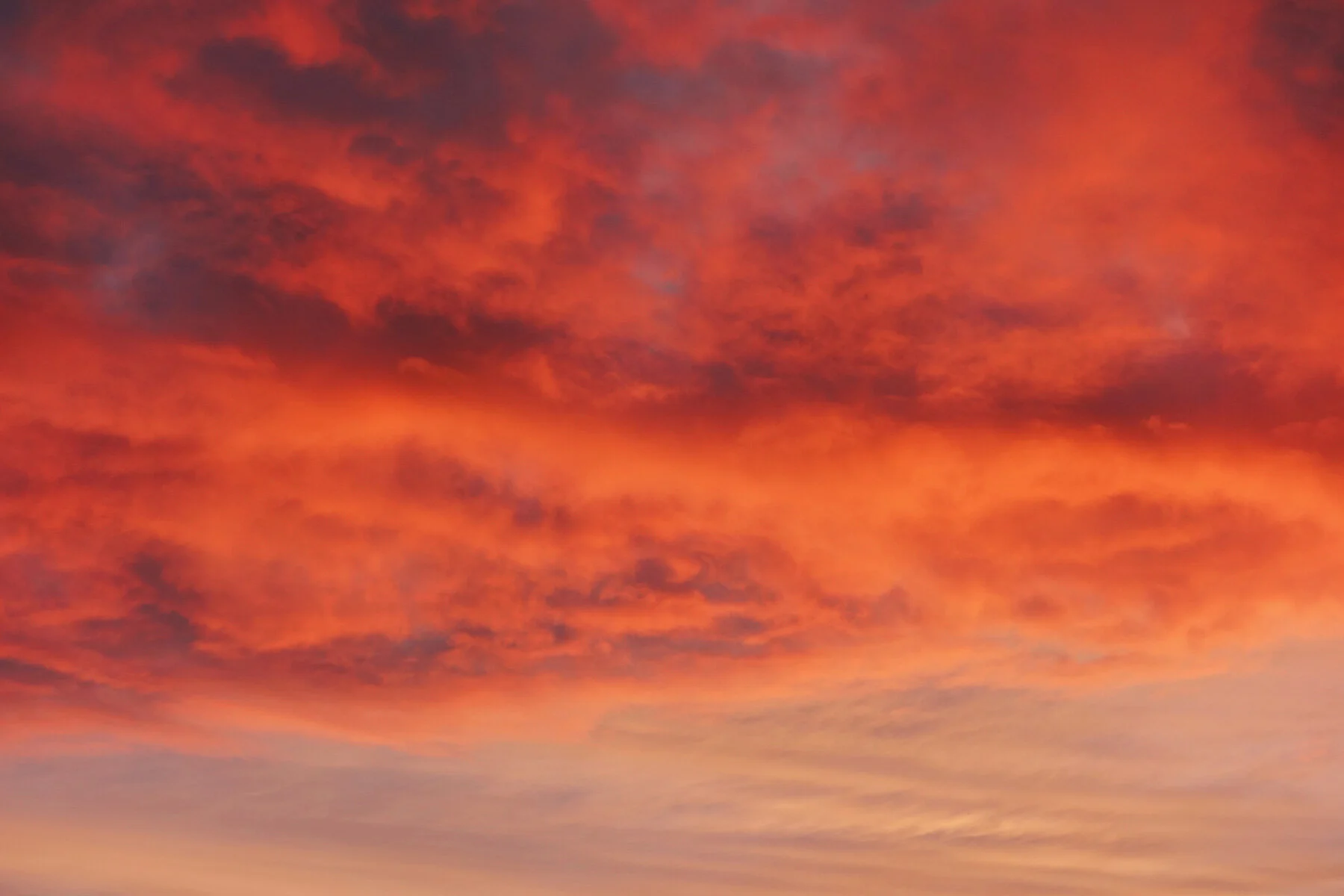 JW_Moodboard_Solo_Sky.jpg