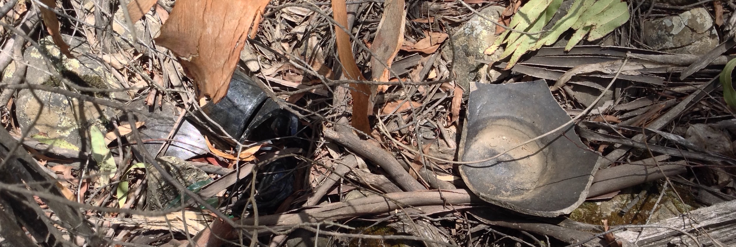 Surface scatter of artefacts in the Ovens Valley (photo: Diann Talbot)