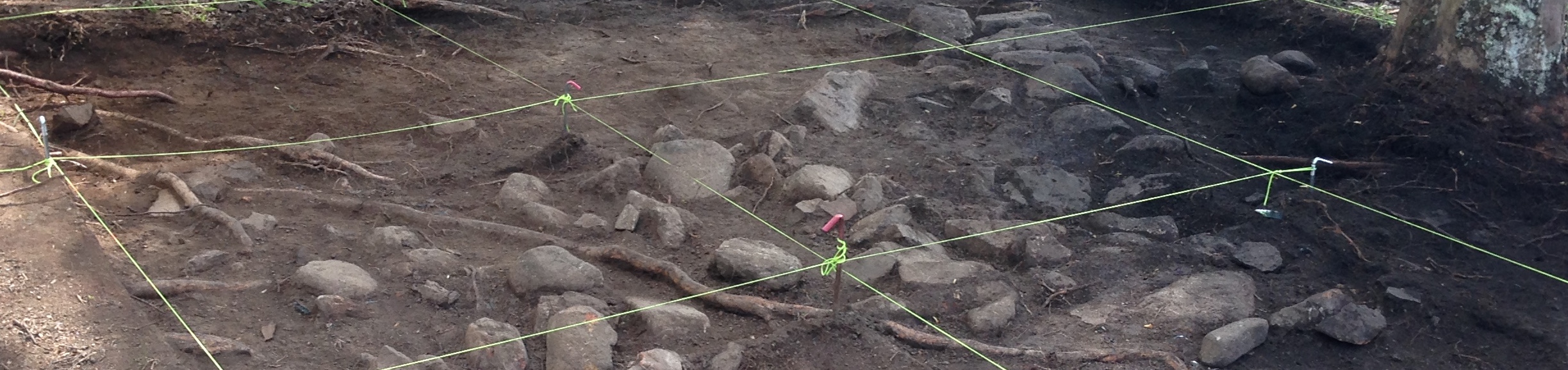Site grid, Atherton Chinatown excavation, Queensland, in 2015 (photo: Melissa Dunk)