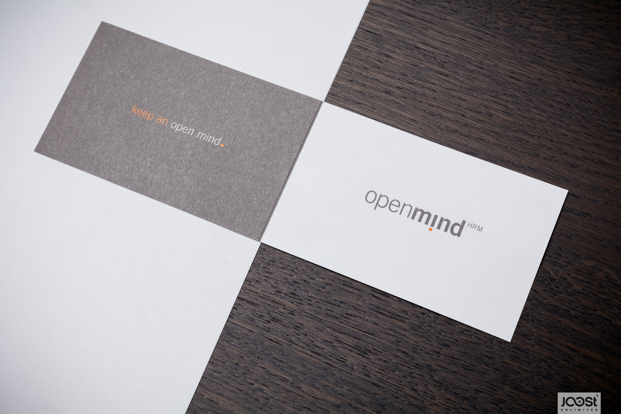 Logo Design & Corporate Identity OpenMind