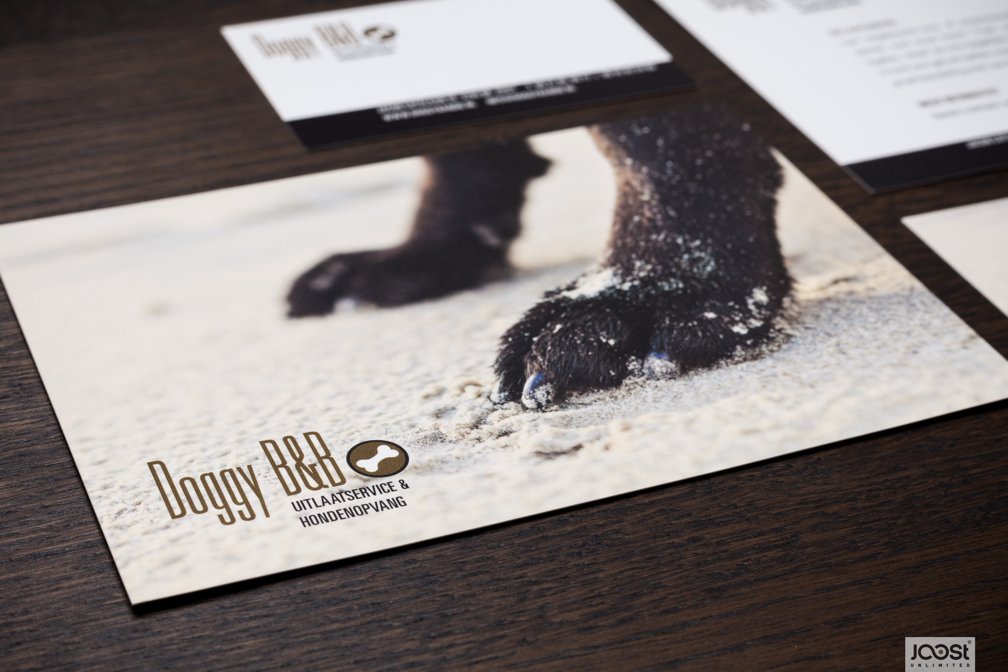 Logo Design & Corporate Identity Doggy B&B