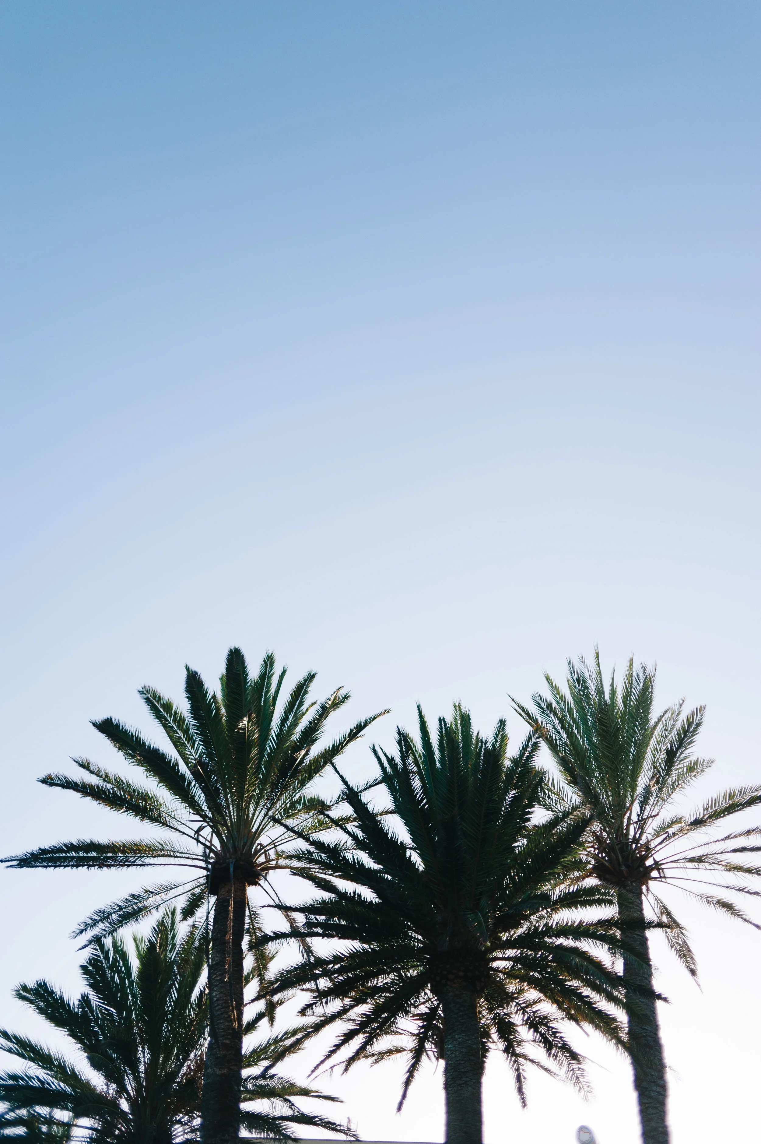 Freelancer photographer Gran Canaria 11.JPG