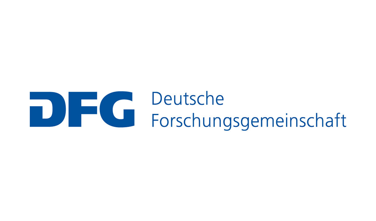 dfg logo