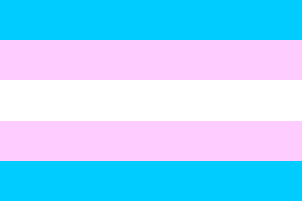 trans-flag-icon-20.jpg