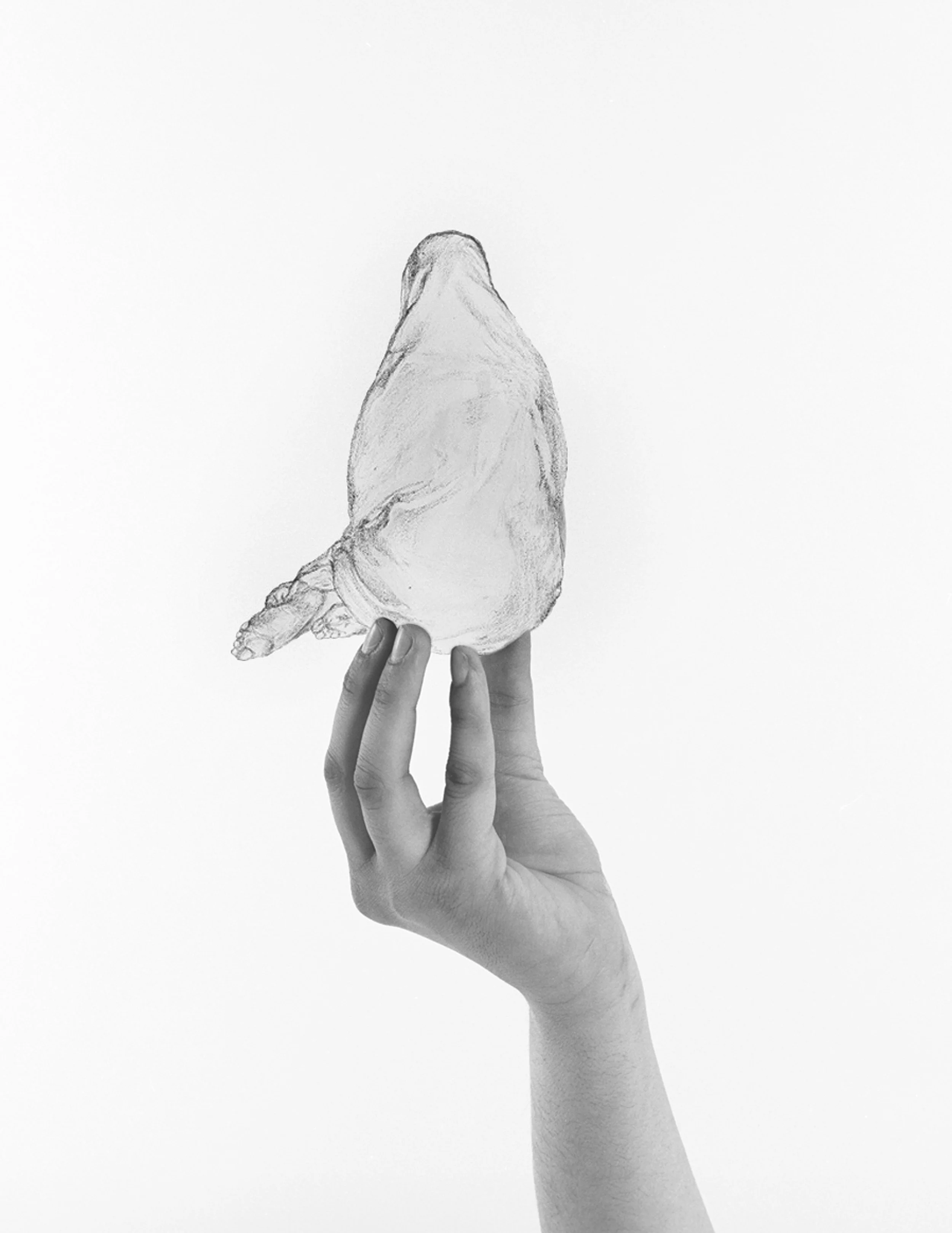 Pear Shape, Arwa Abouon, Digital Print. Image courtesy of The Third Line, Dubai 