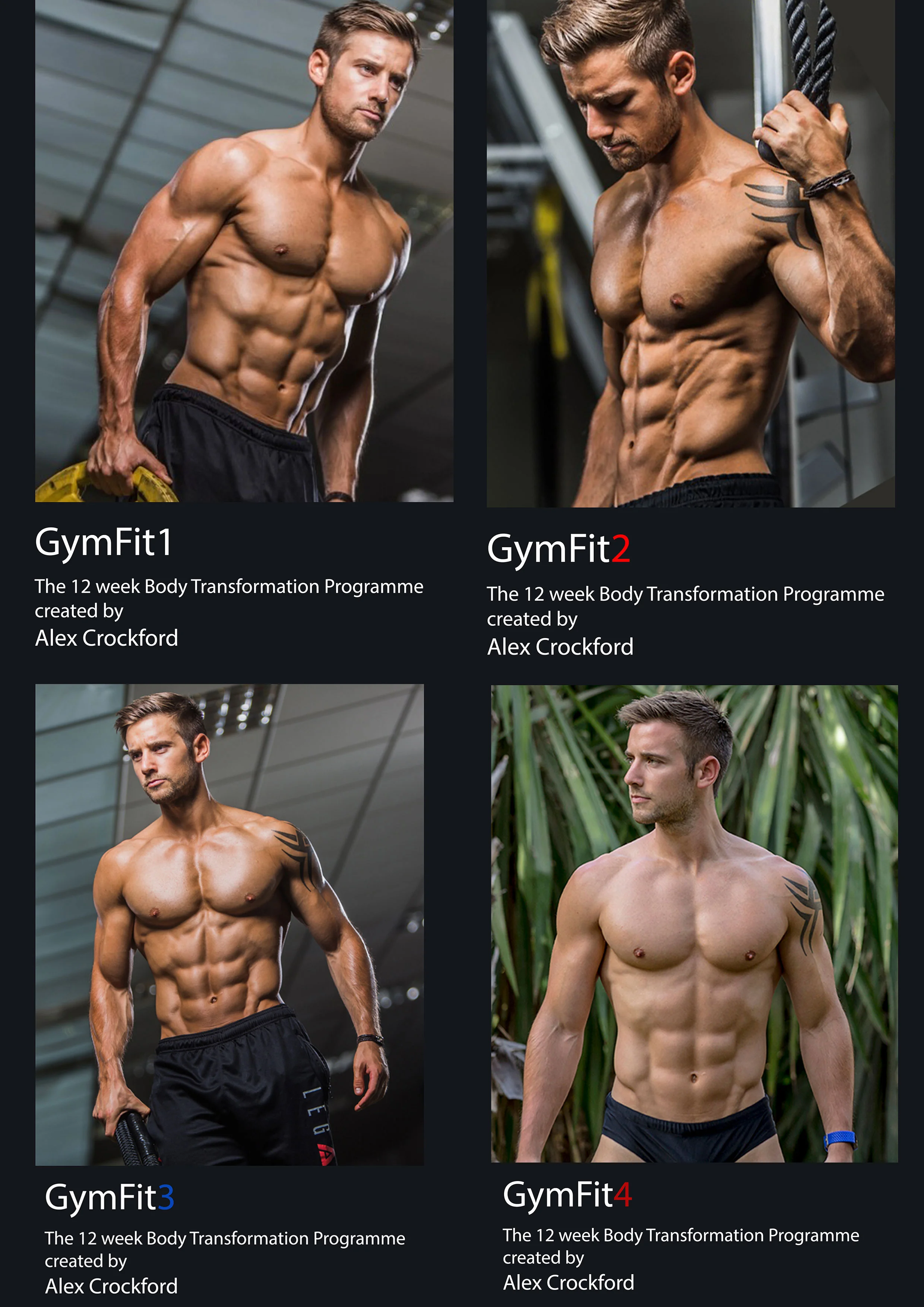 GymFit---1-year-plan.jpg