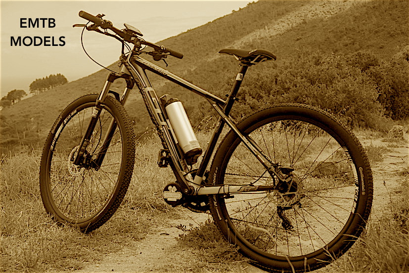 Chiilled-Squirrel-Ebike.JPG