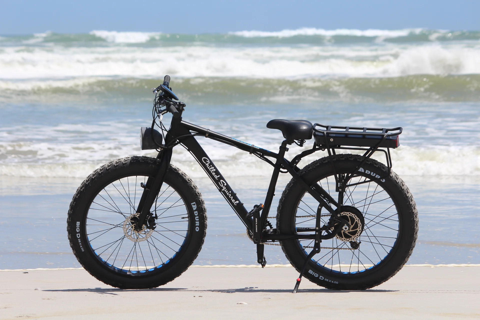 E-Fat bike 