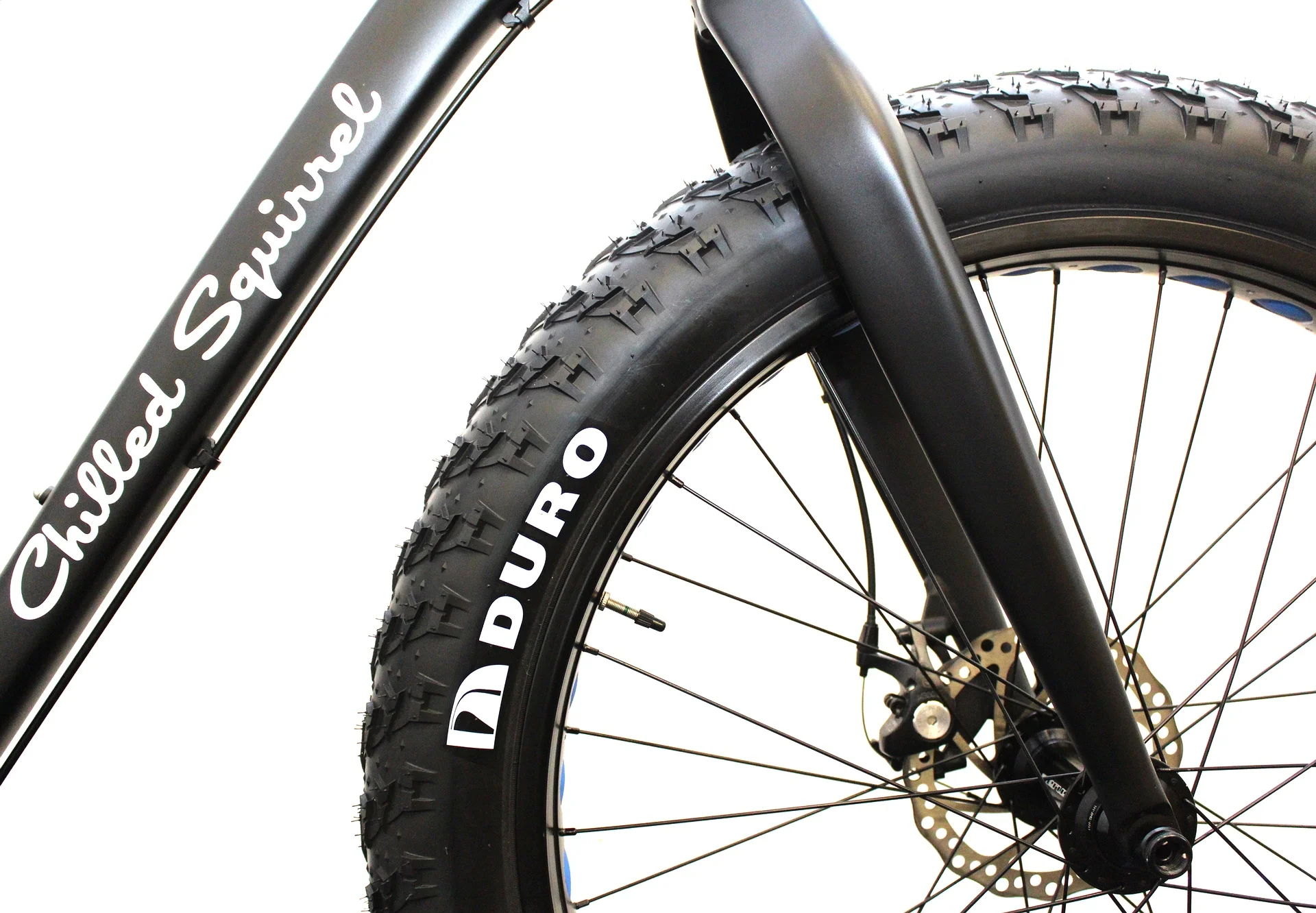 Electric Fat bikes South Africa 