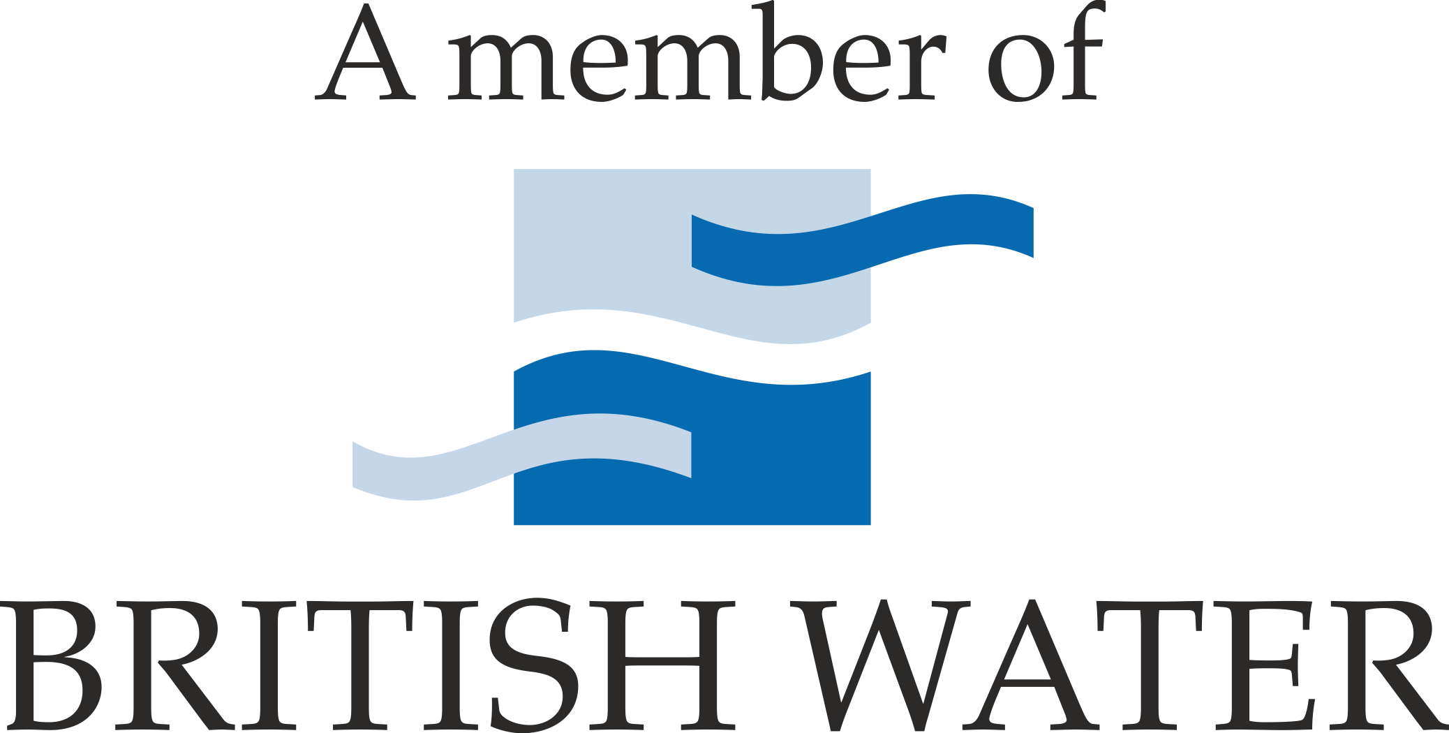 British Water membership logo for beyond water and award winning water charity