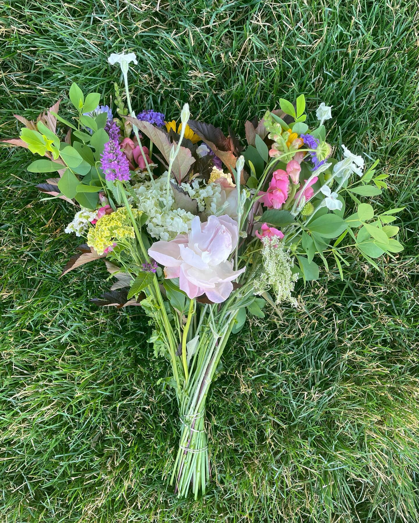 Come to the shop tomorrow 2-5 for a bouquet! Celebrate the fourth with our parade of sweet peas, the finale of the peonies, and the first of the hydrangeas! A veritable FIREWORK of flowers!