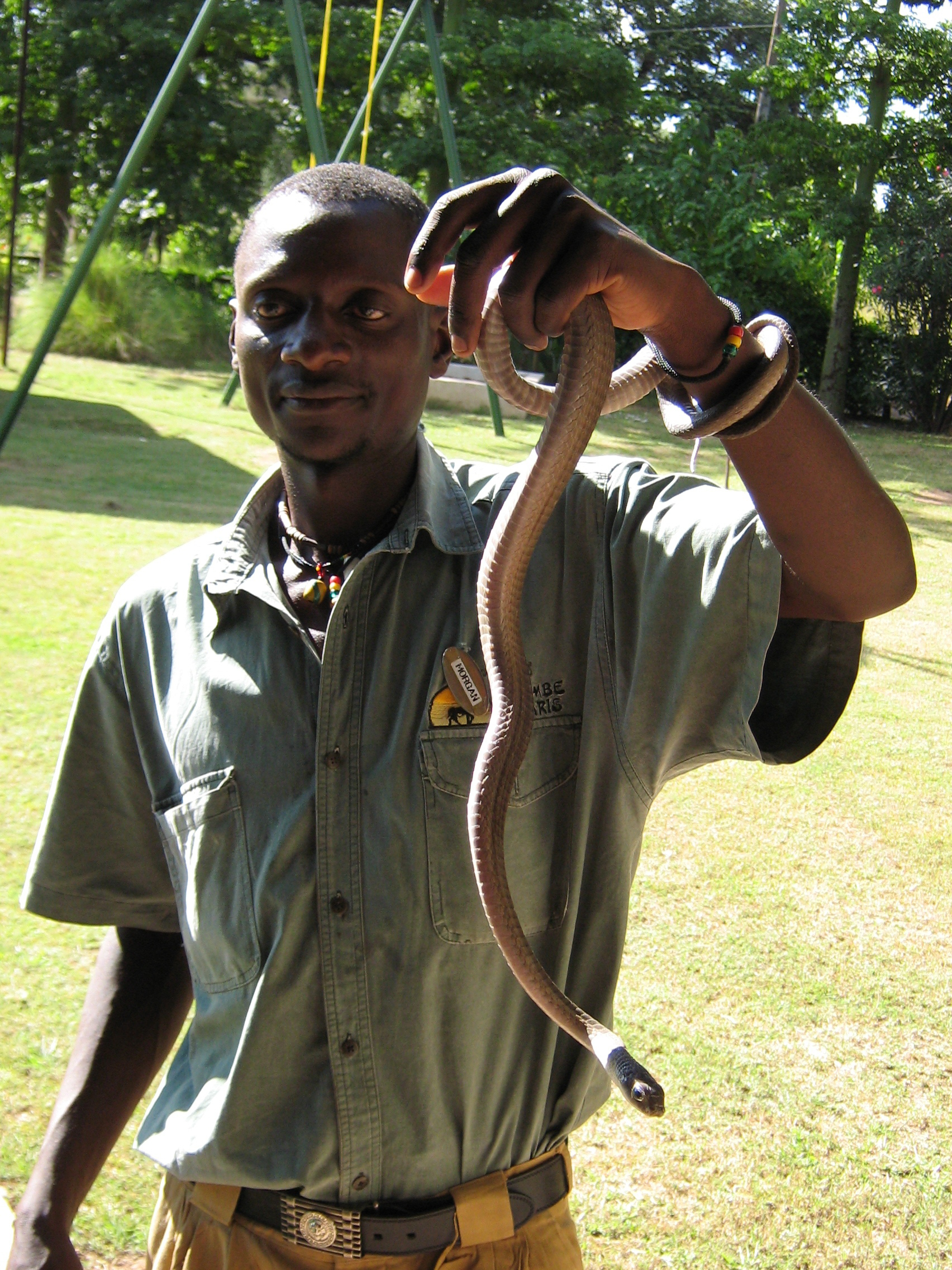 An important lesson at the Livingstone crocodile and snake farm