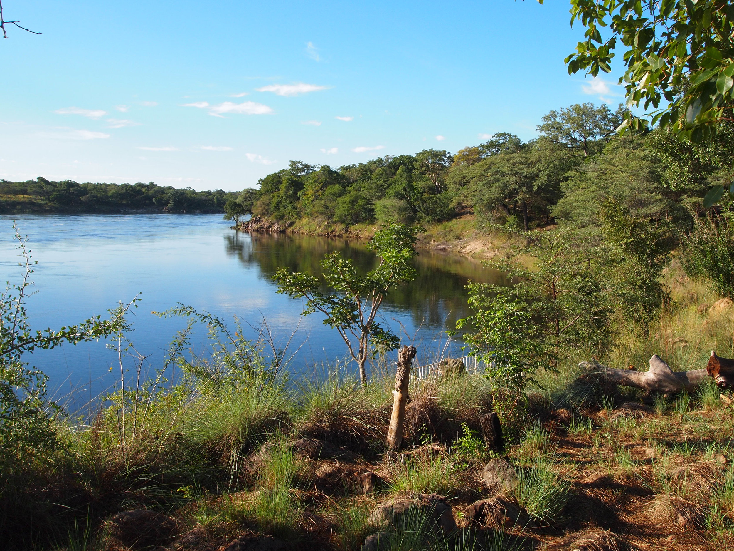 view from the dining hall.jpg