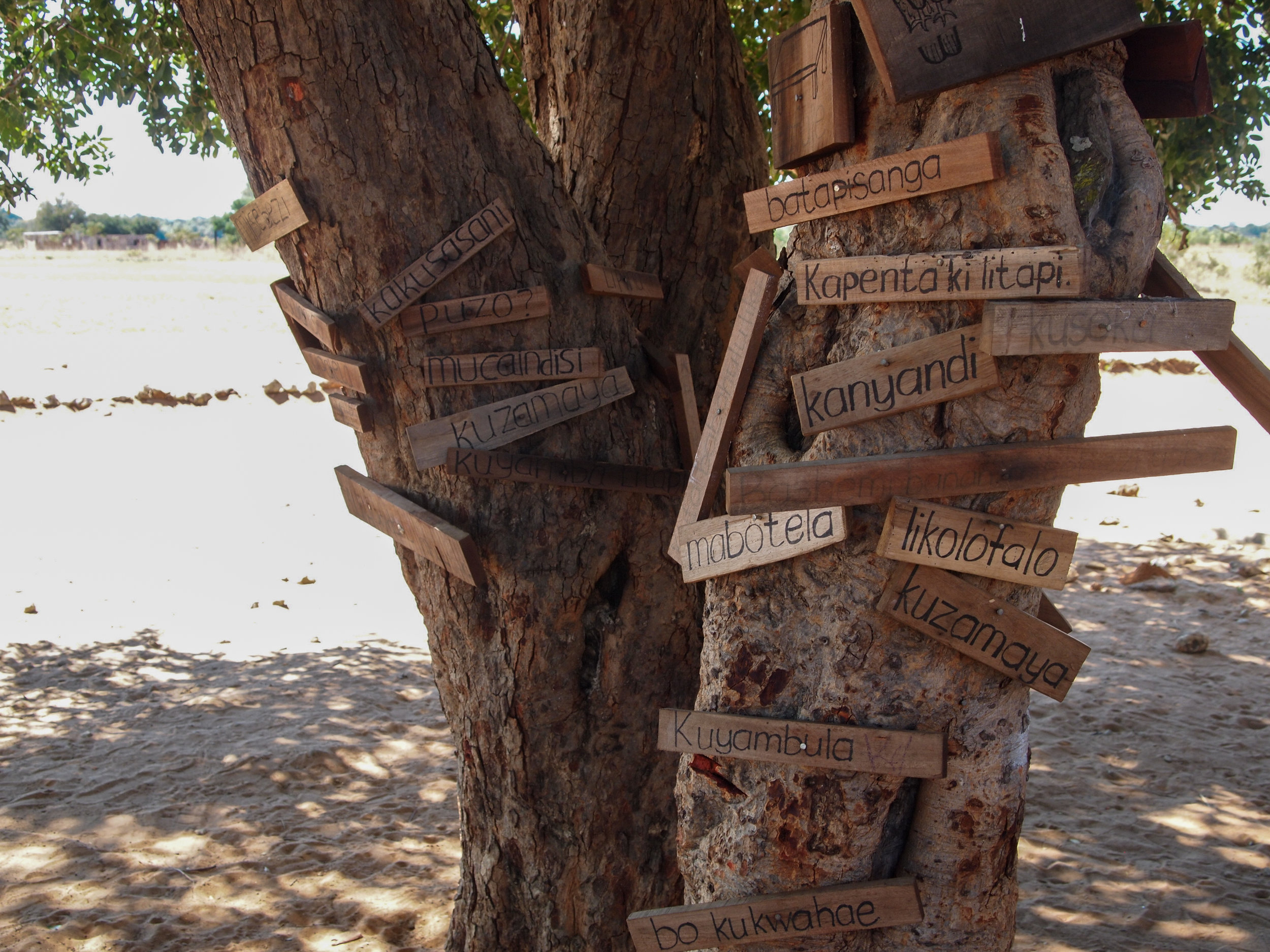 the word tree a new idea