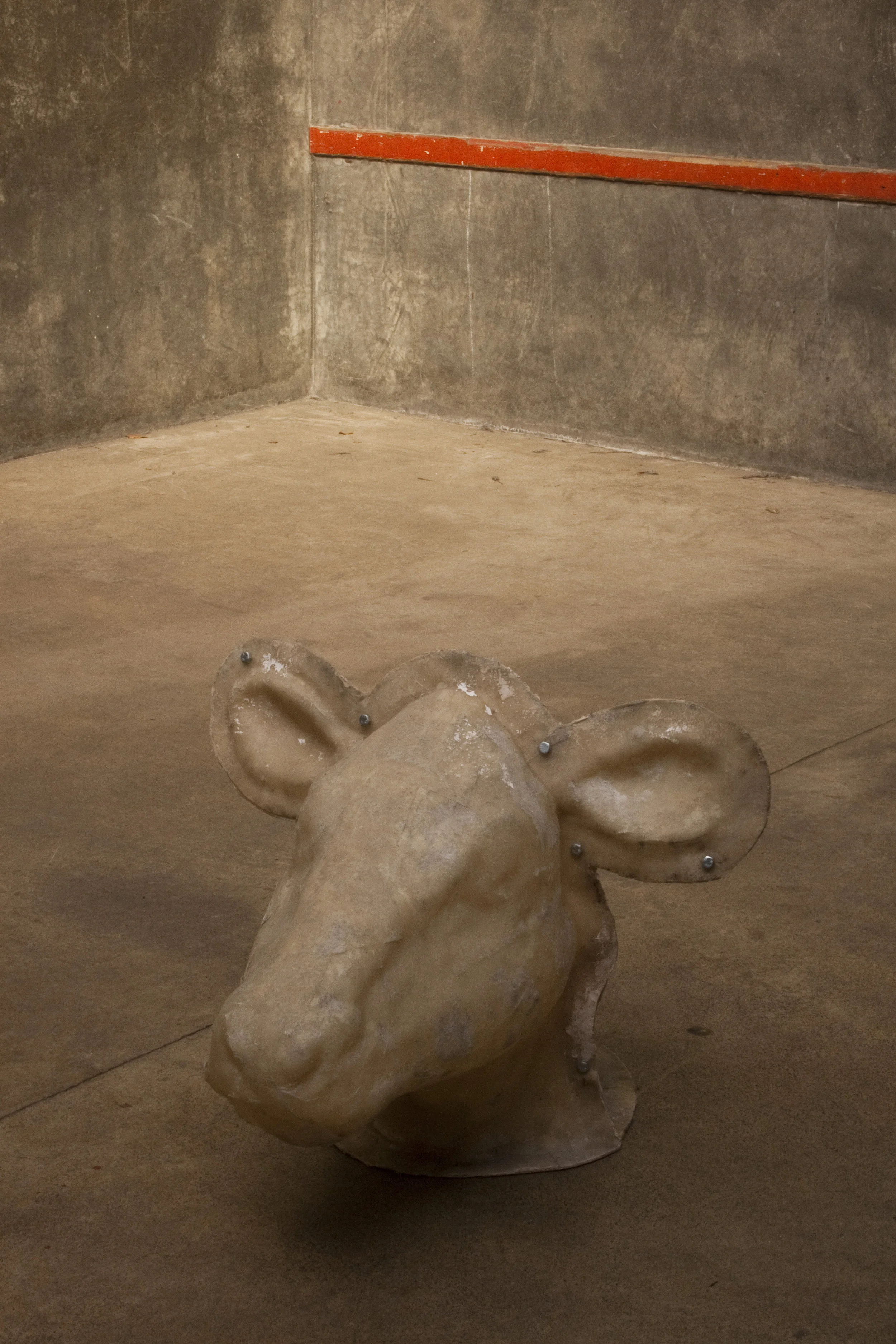 one large head in foreground_1.jpg