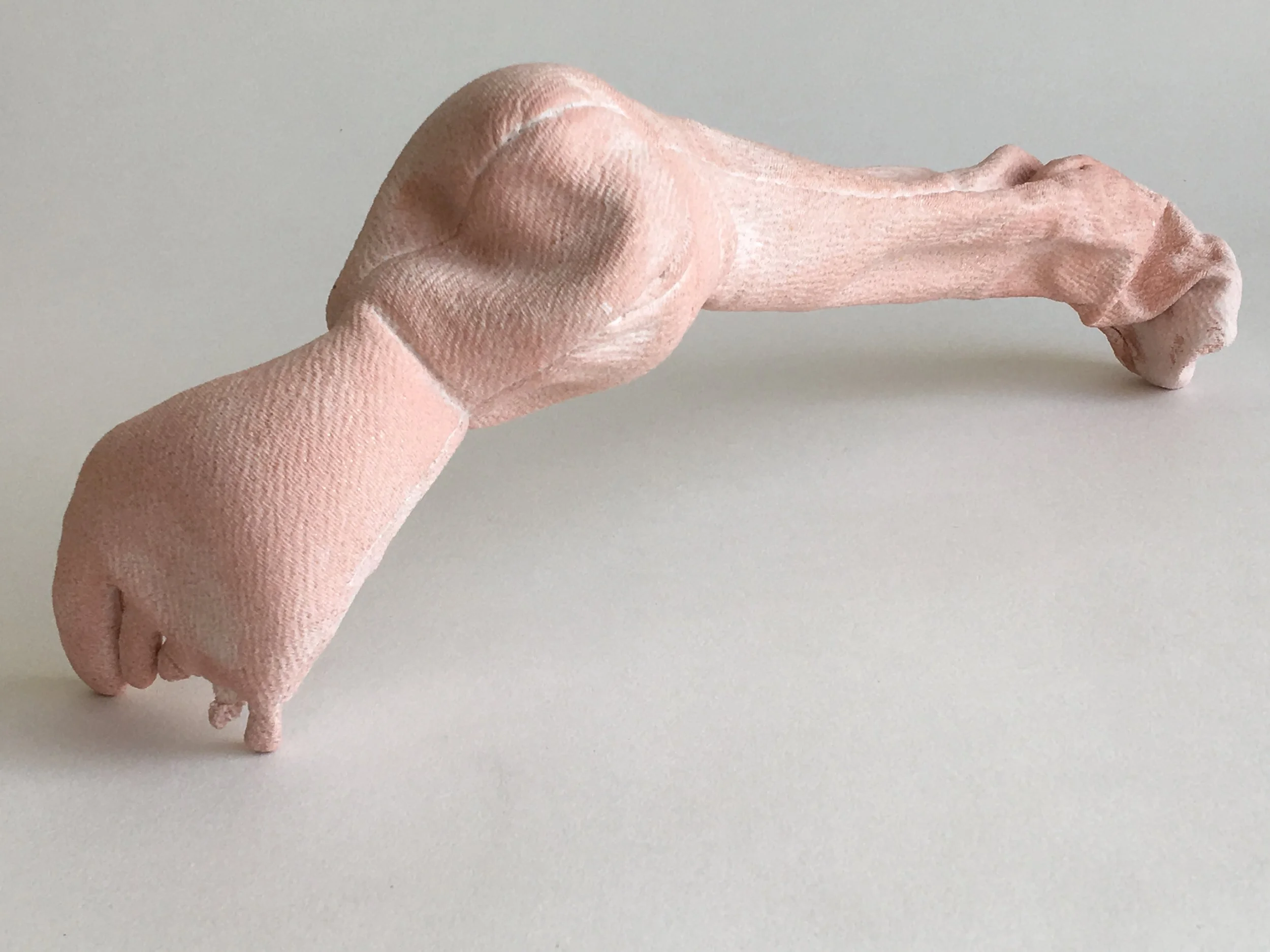 Limb