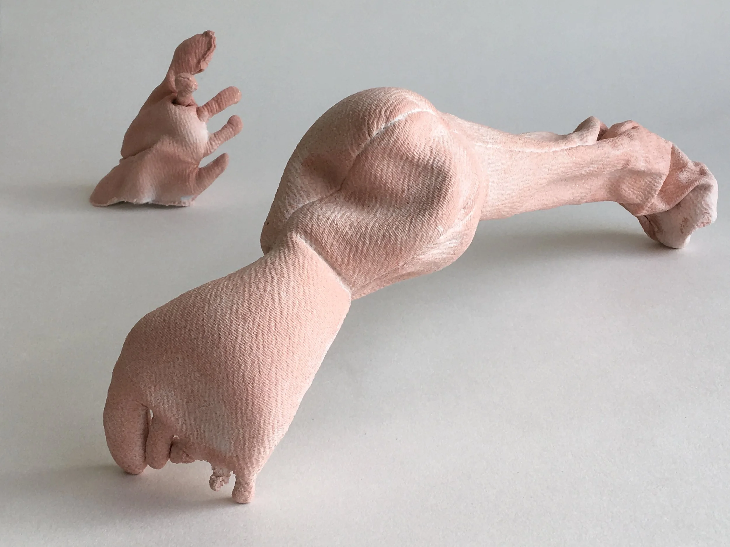 Limb and Toes
