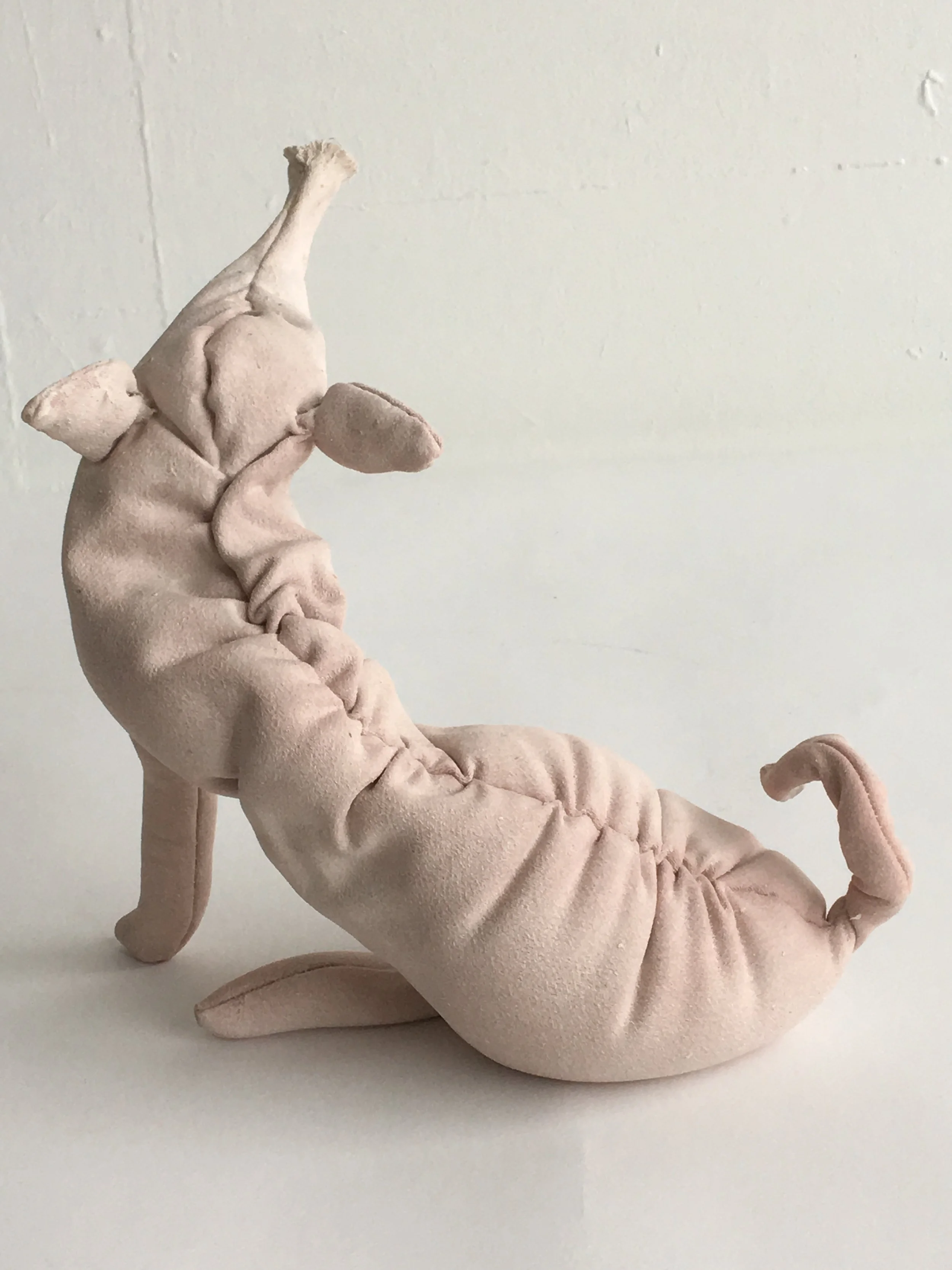 Pig 2