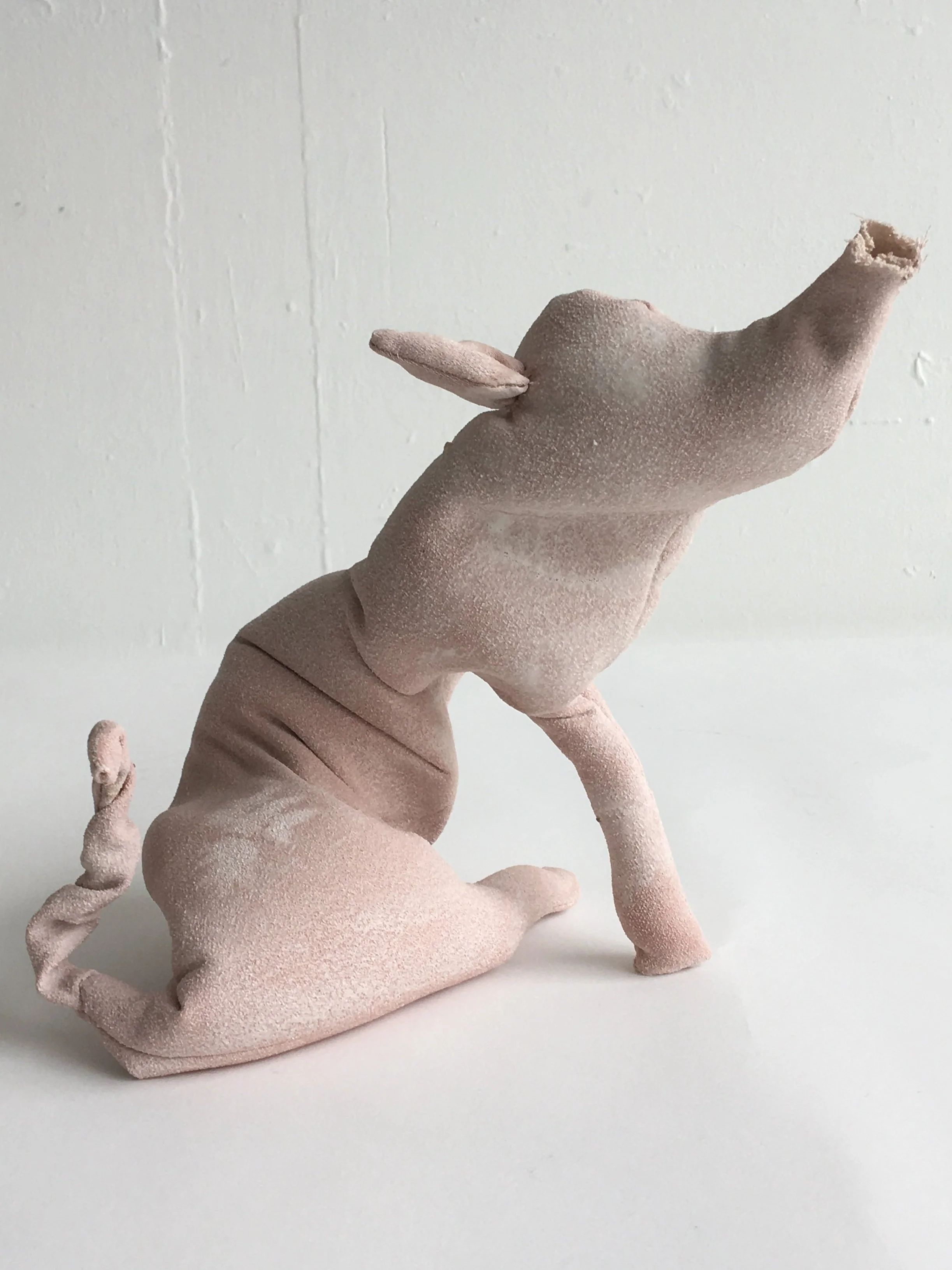 Pig 3
