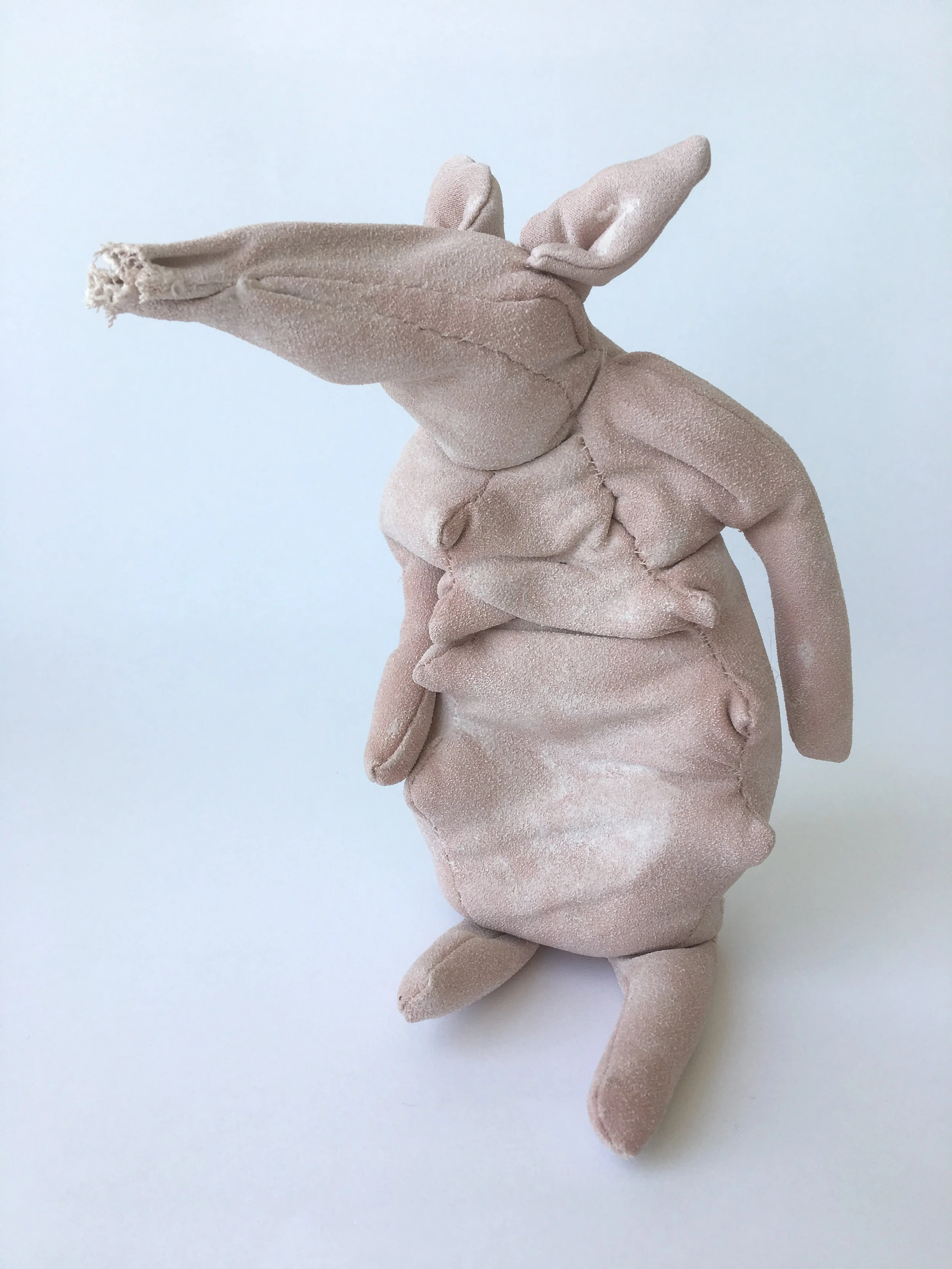 Pig 5
