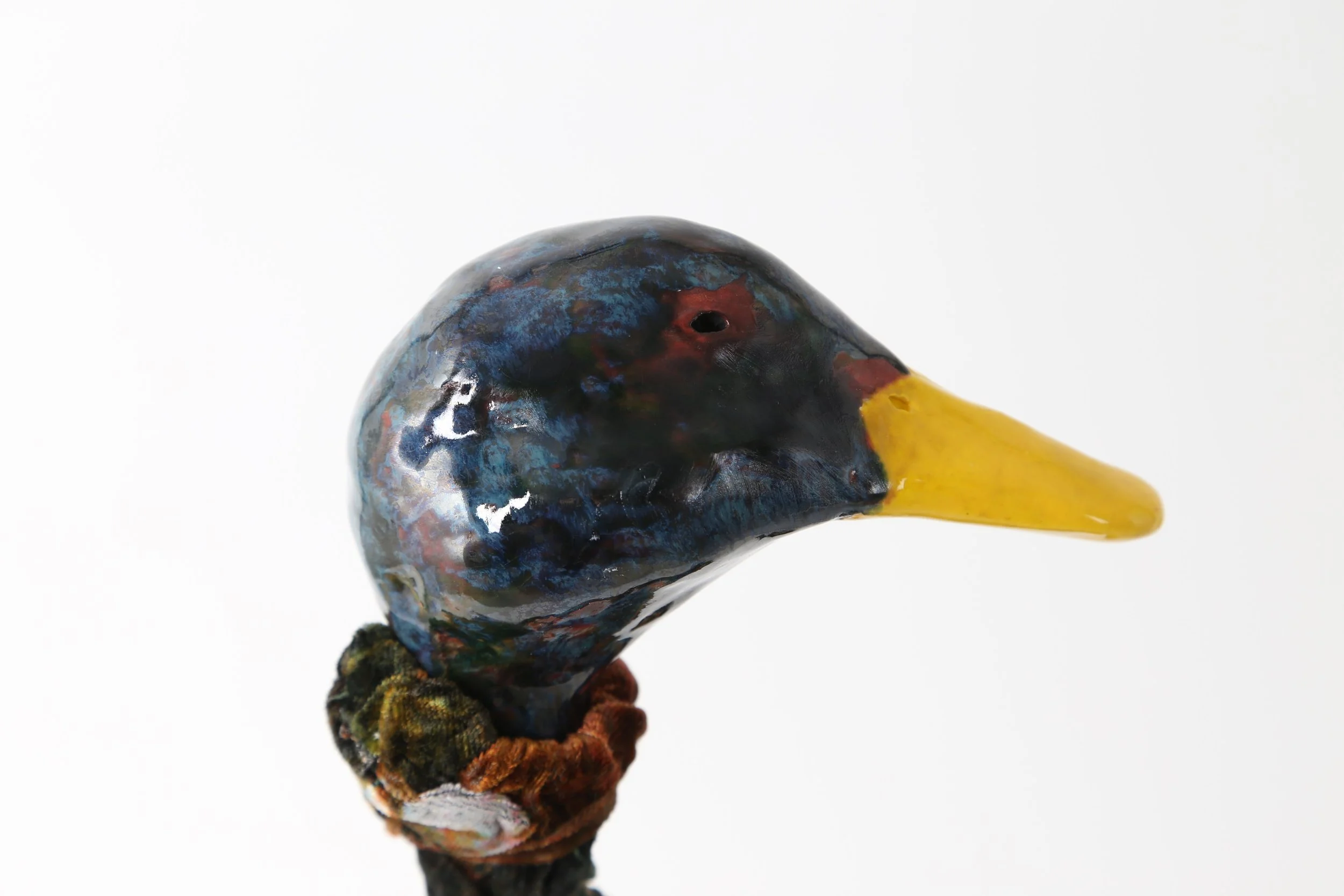 Duck (view of head)
