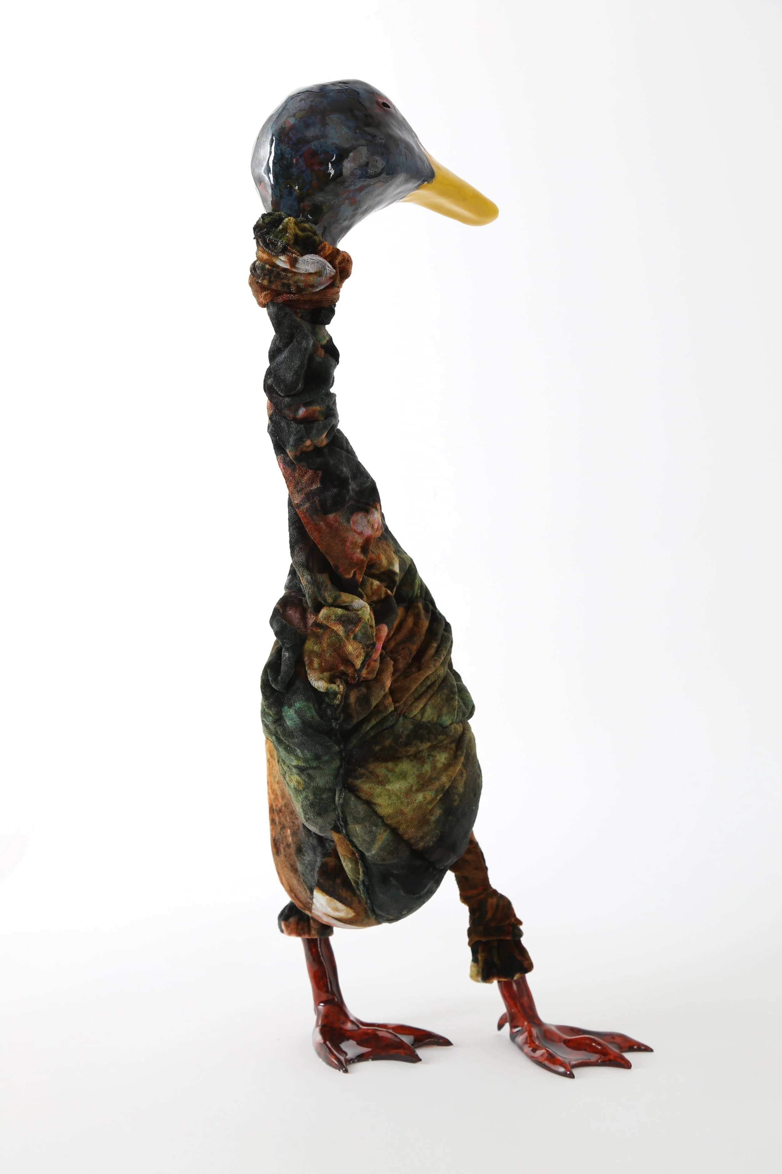 Duck (view from the back)