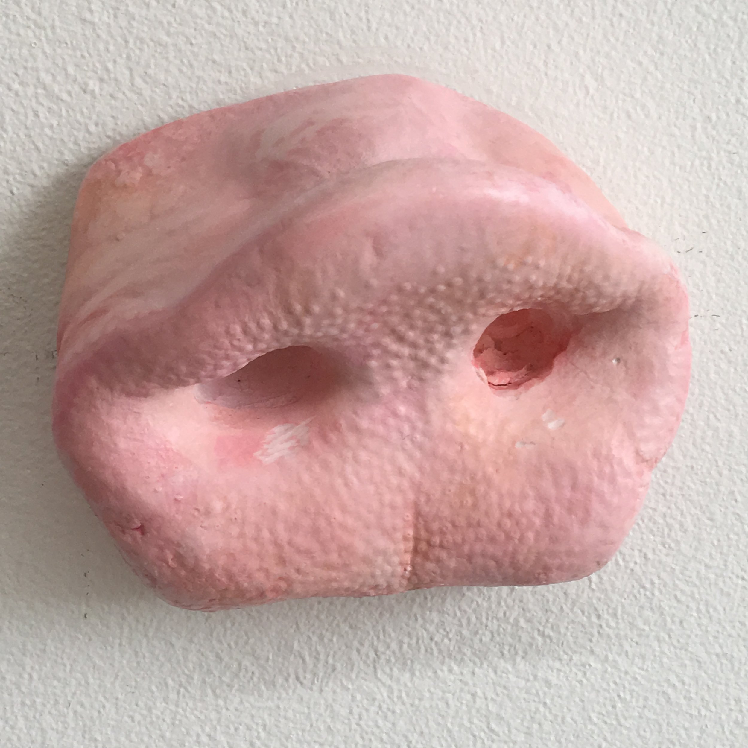 Snout 6
