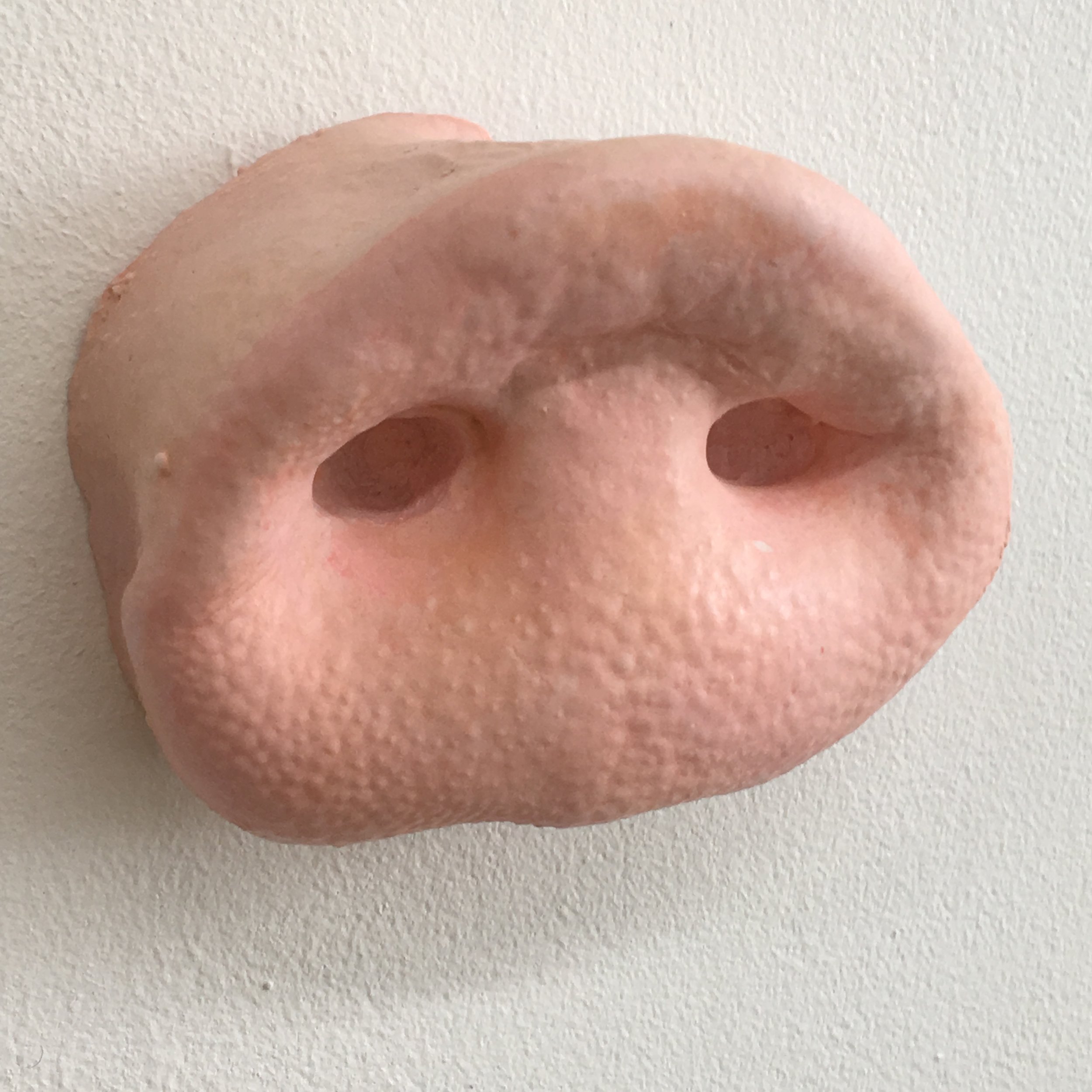 Snout 5