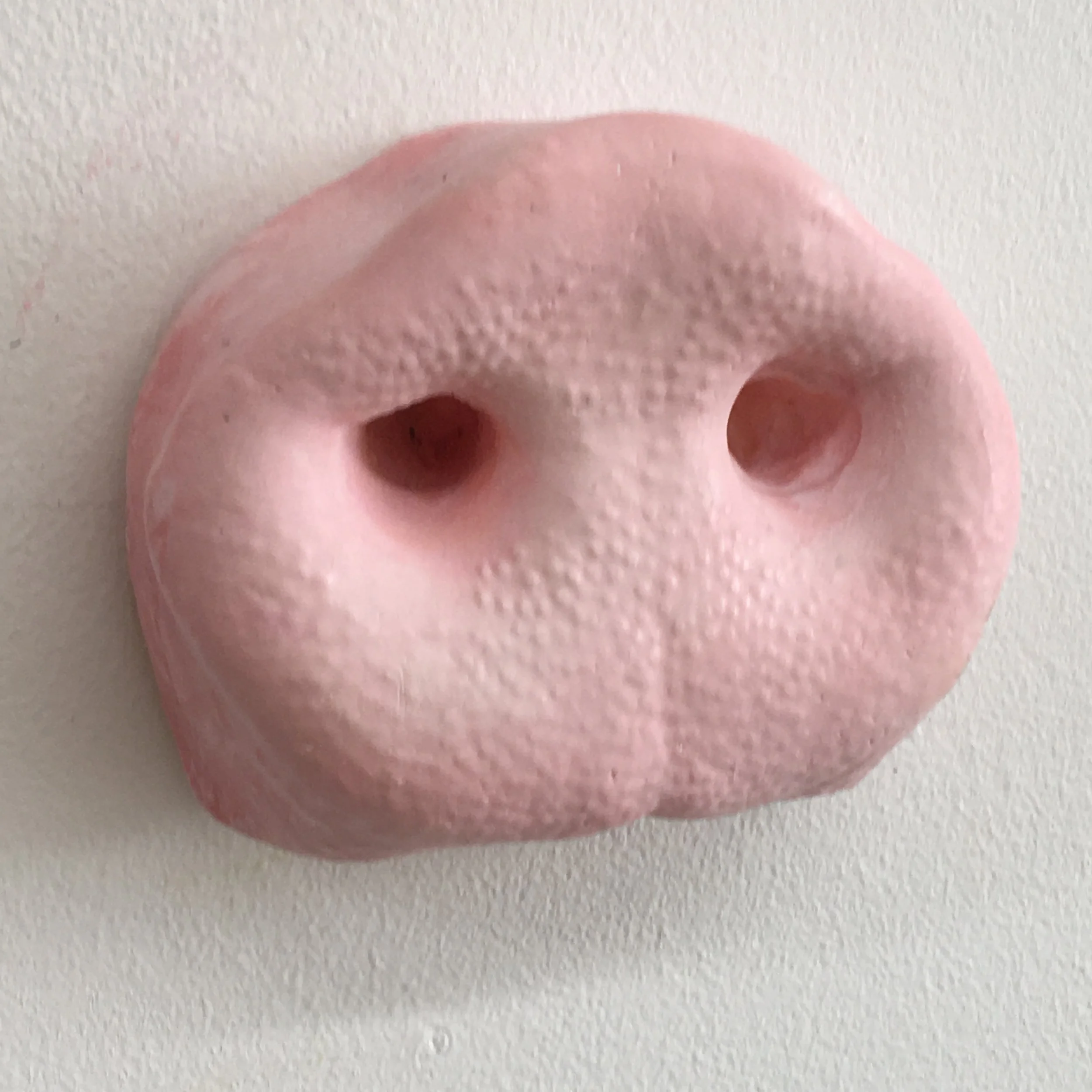 Snout 4