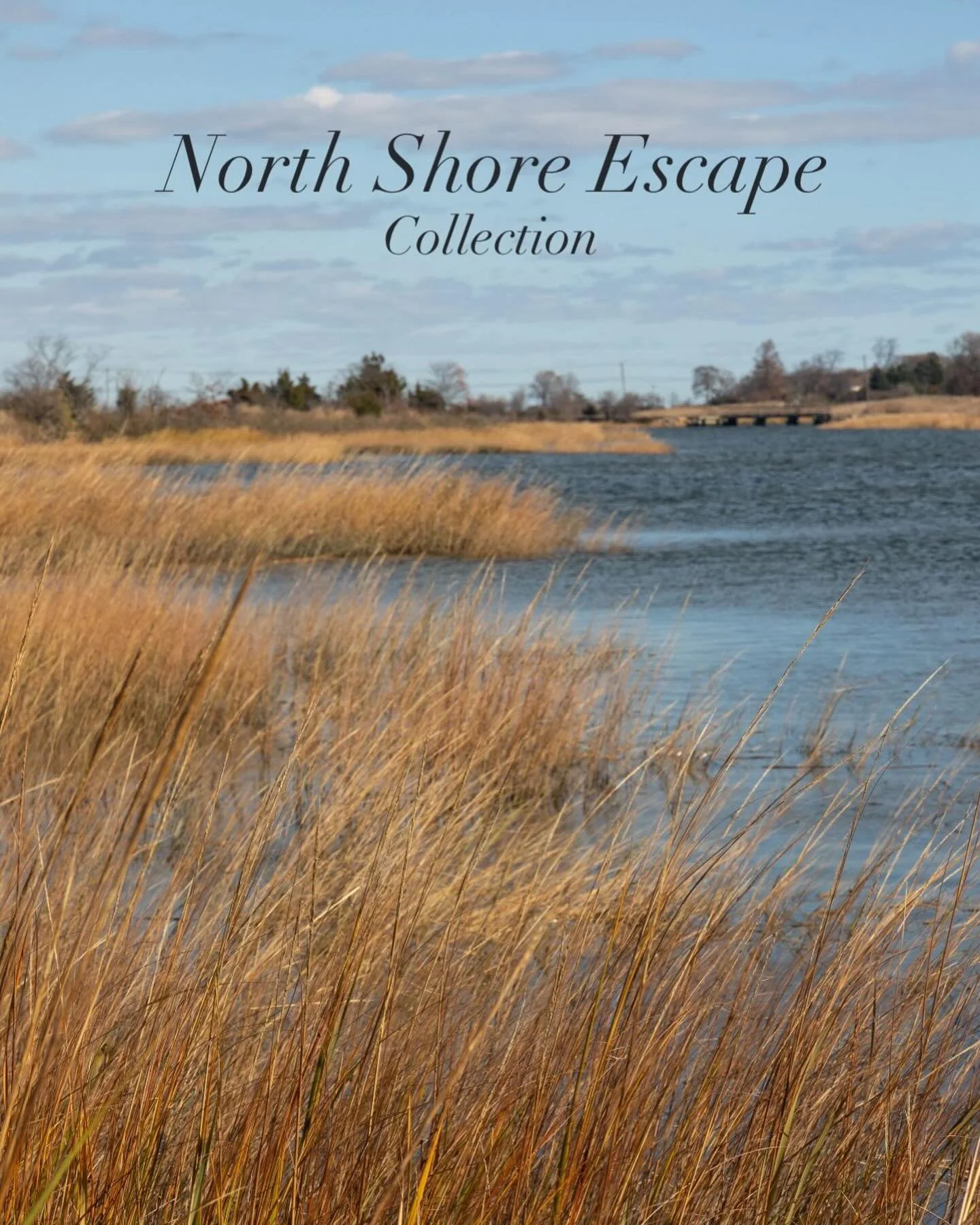 Drawing inspiration from the North Shore of Long Island, where our company is rooted, Fret Fabric&rsquo;s January 2026 North Shore Escape captures the essence of grand estates, historic manors and windswept beaches nestled along the Gold Coast&rsquo;