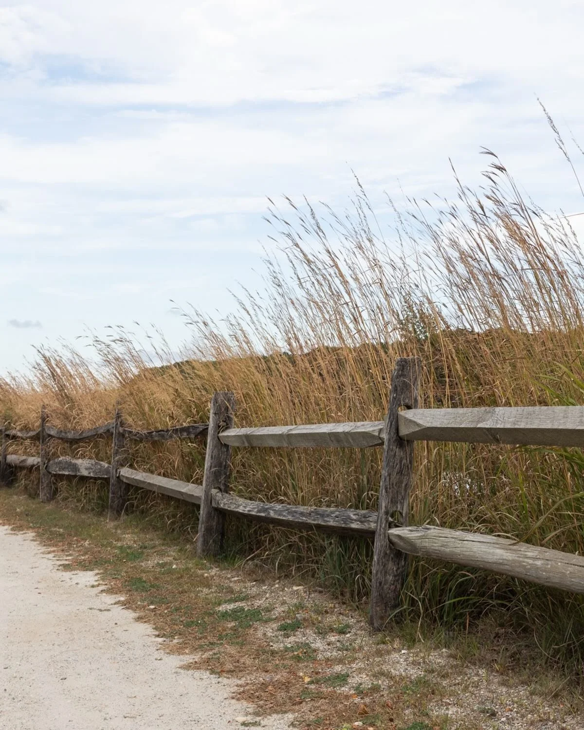 Fret Fabric&rsquo;s, January 2026 &ldquo;North Shore Escape&rdquo; draws inspiration from the North Shore of Long Island, where our company is rooted.
Capturing the essence of grand estates and windswept beaches nestled along the Gold Coast&rsquo;s s
