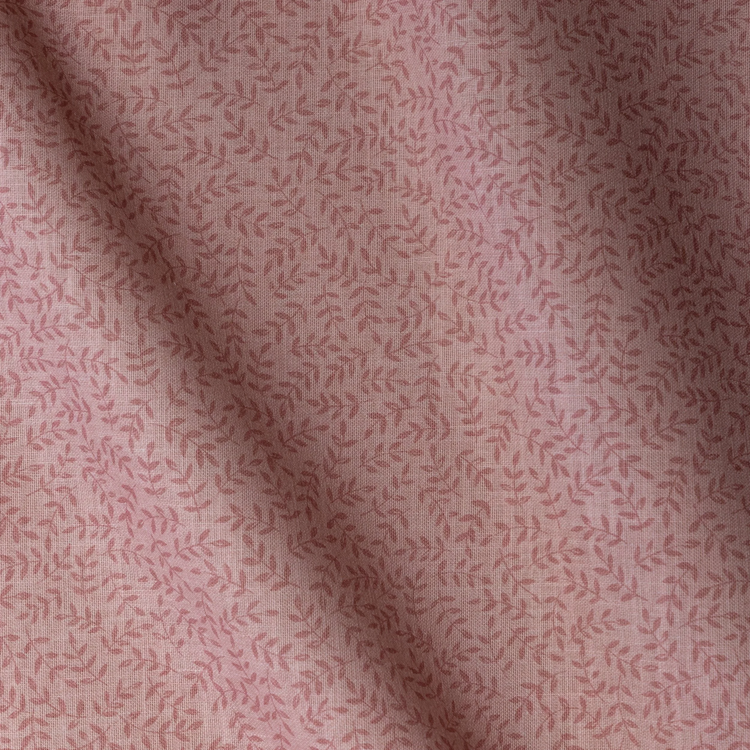 0L7A8052.jpg