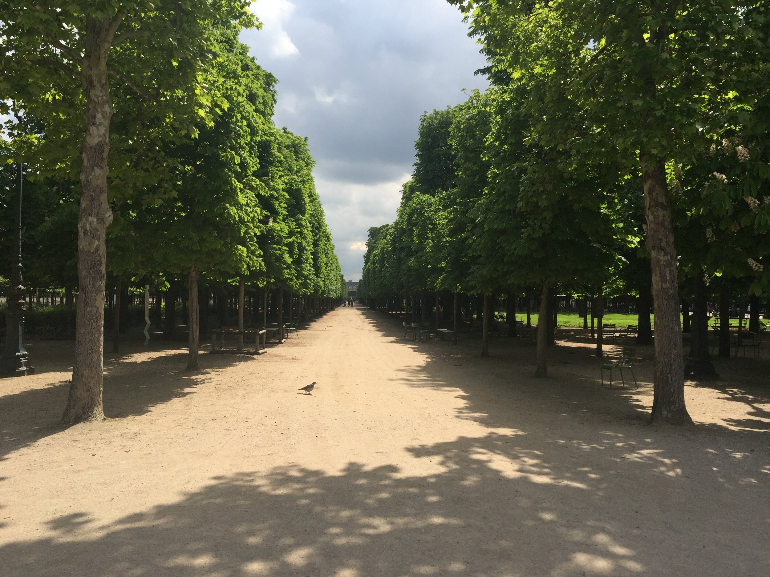 Le Jardin de Tuileries